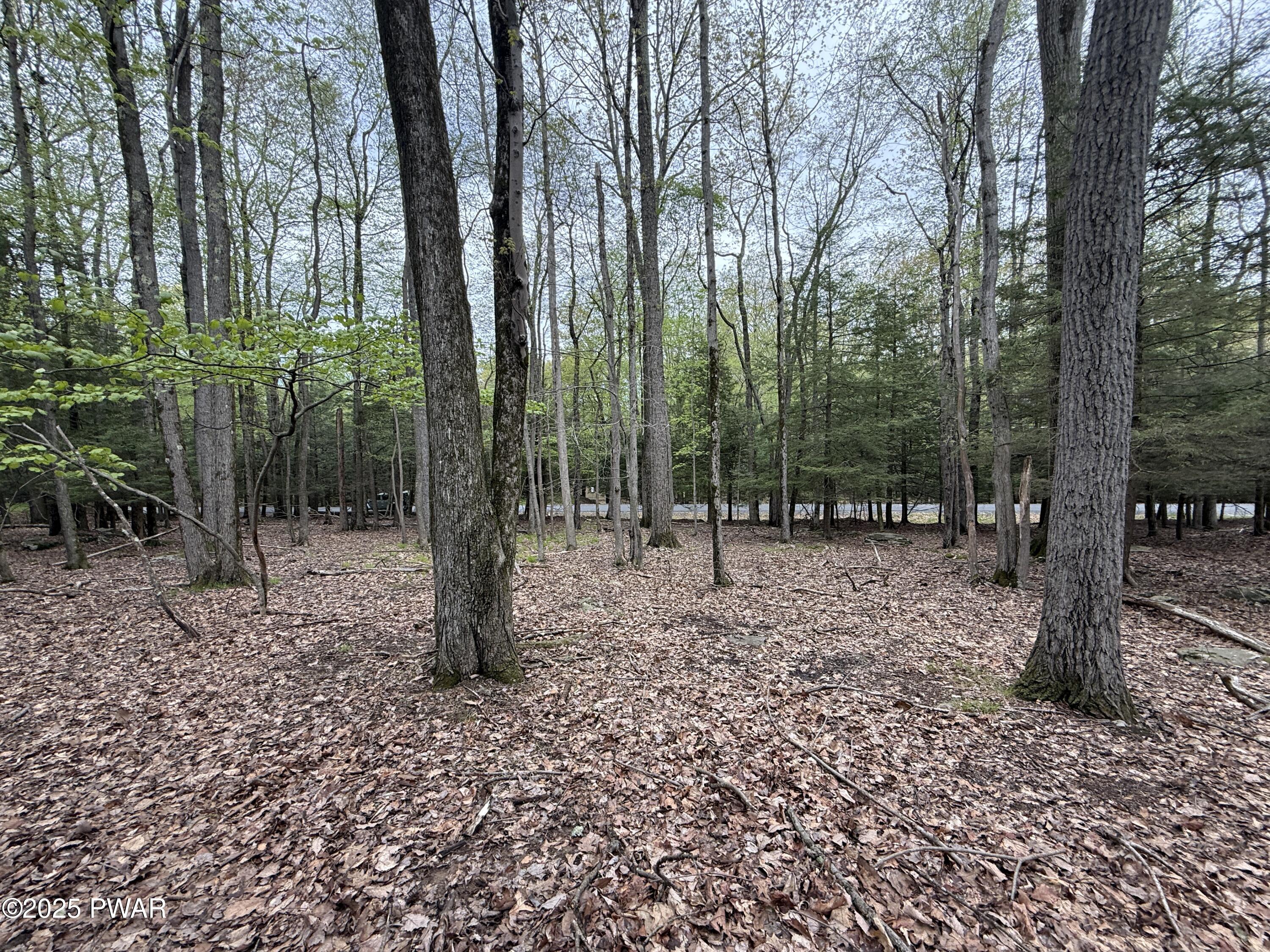 N Evergreen Drive, Greentown, Pennsylvania image 15
