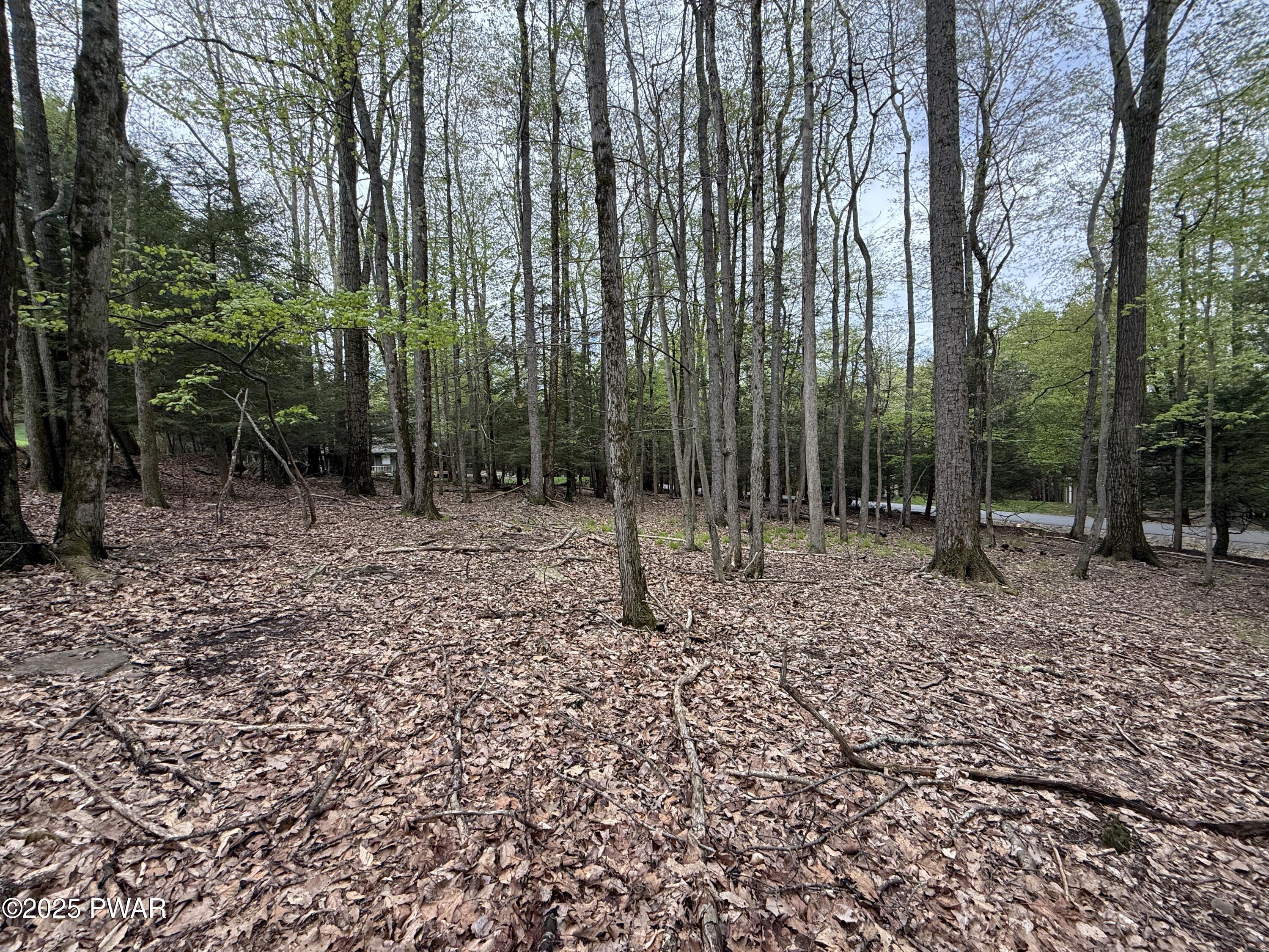 N Evergreen Drive, Greentown, Pennsylvania image 8