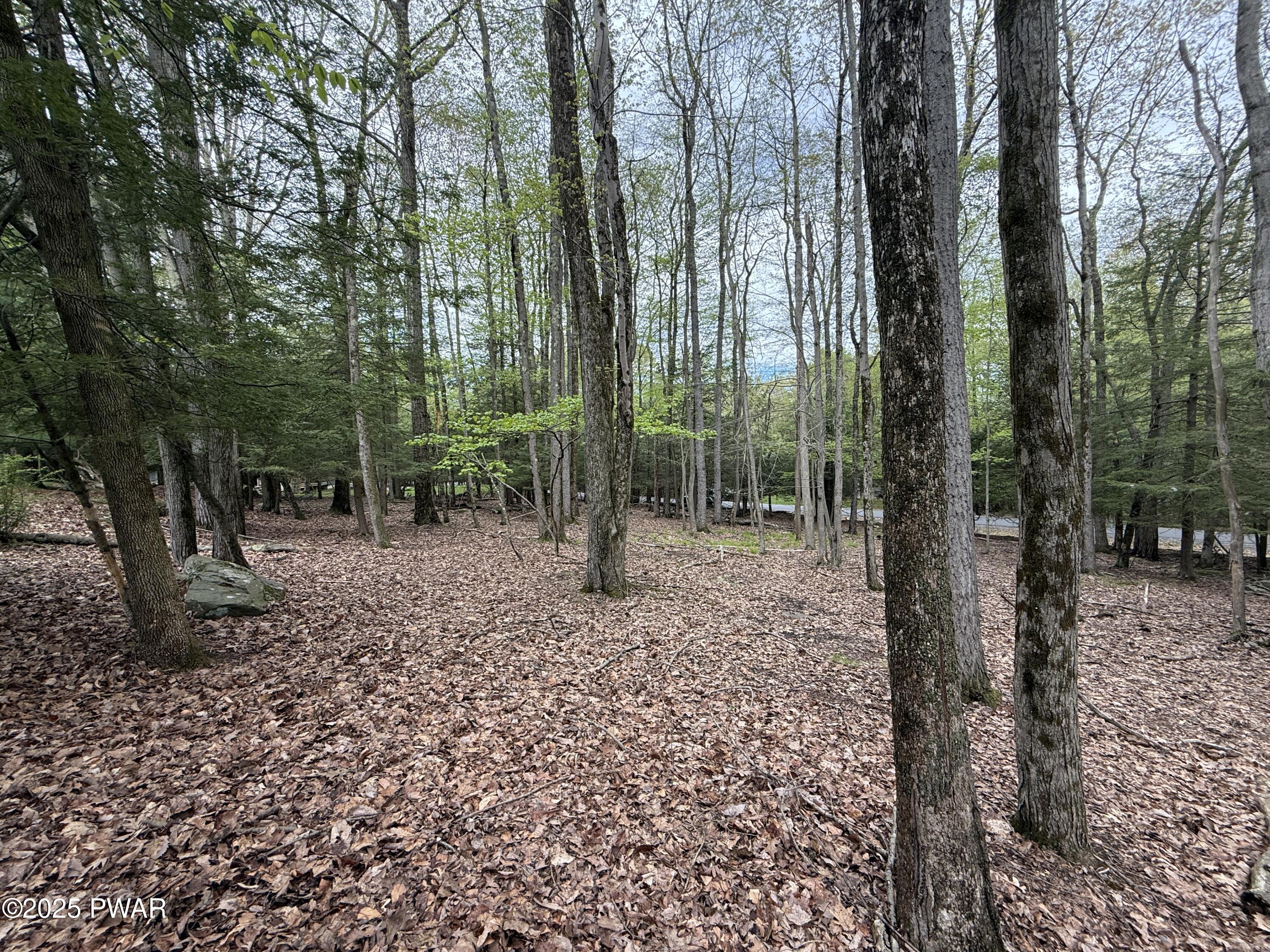 N Evergreen Drive, Greentown, Pennsylvania image 9