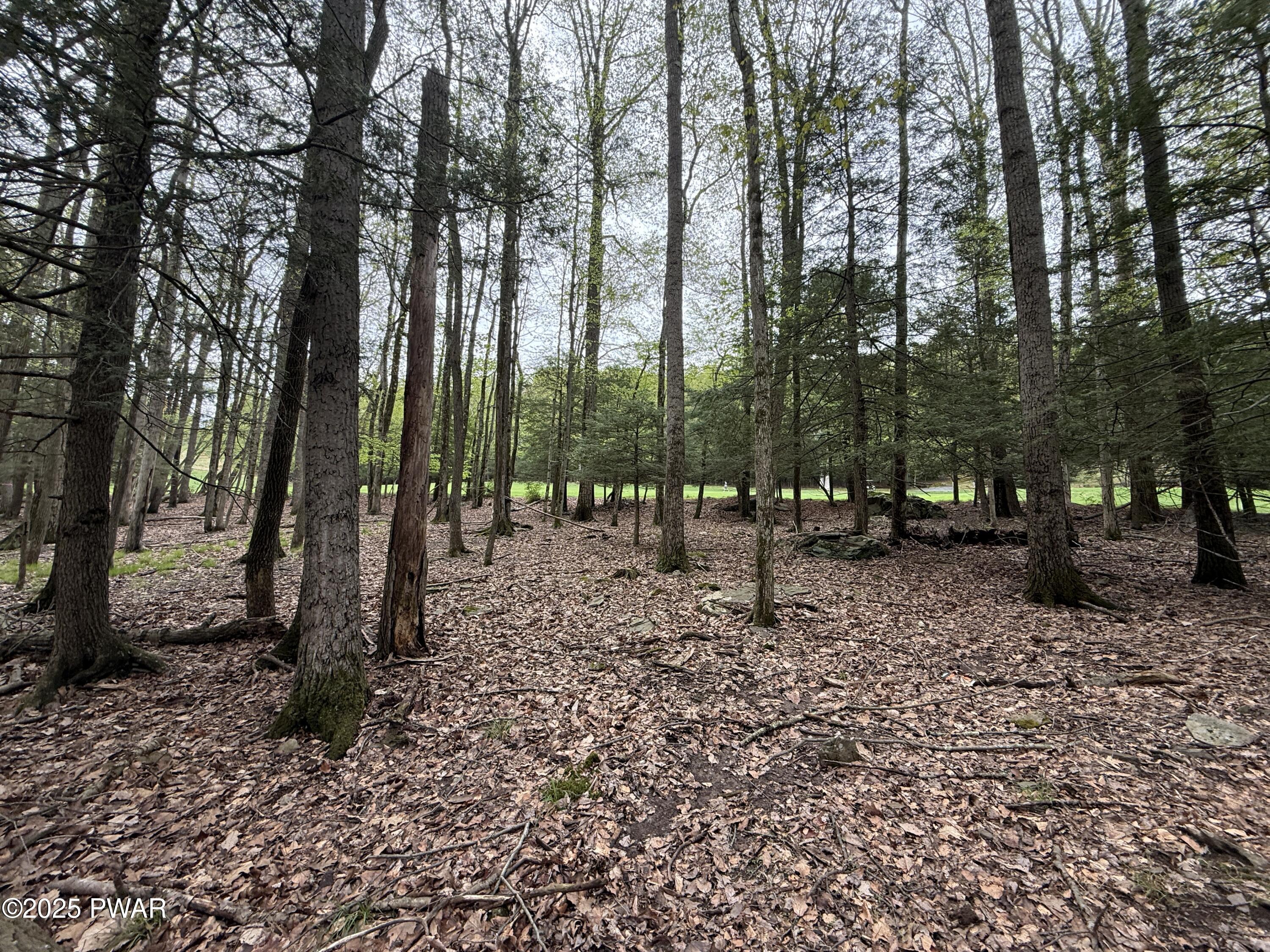 N Evergreen Drive, Greentown, Pennsylvania image 4