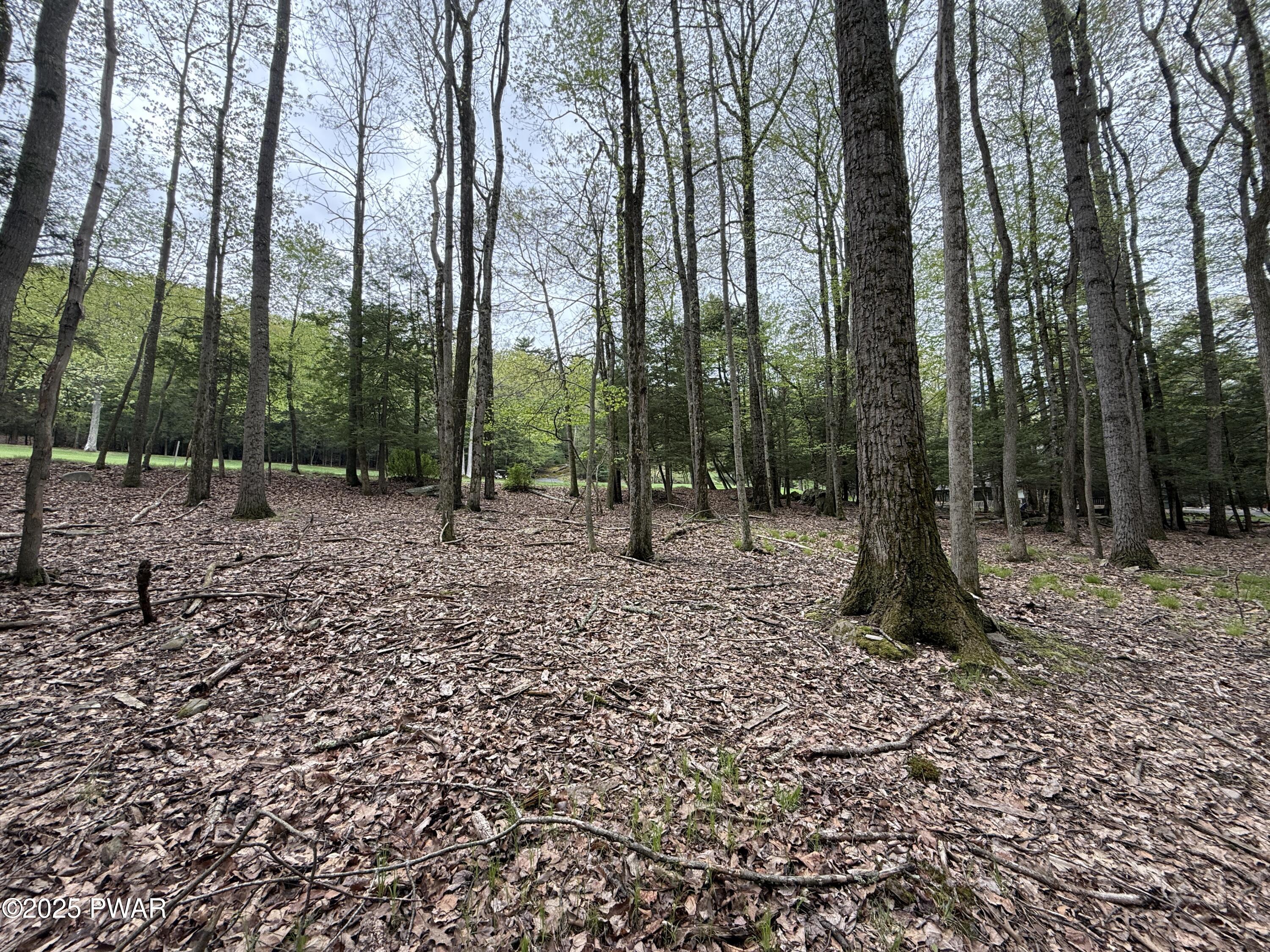N Evergreen Drive, Greentown, Pennsylvania image 7