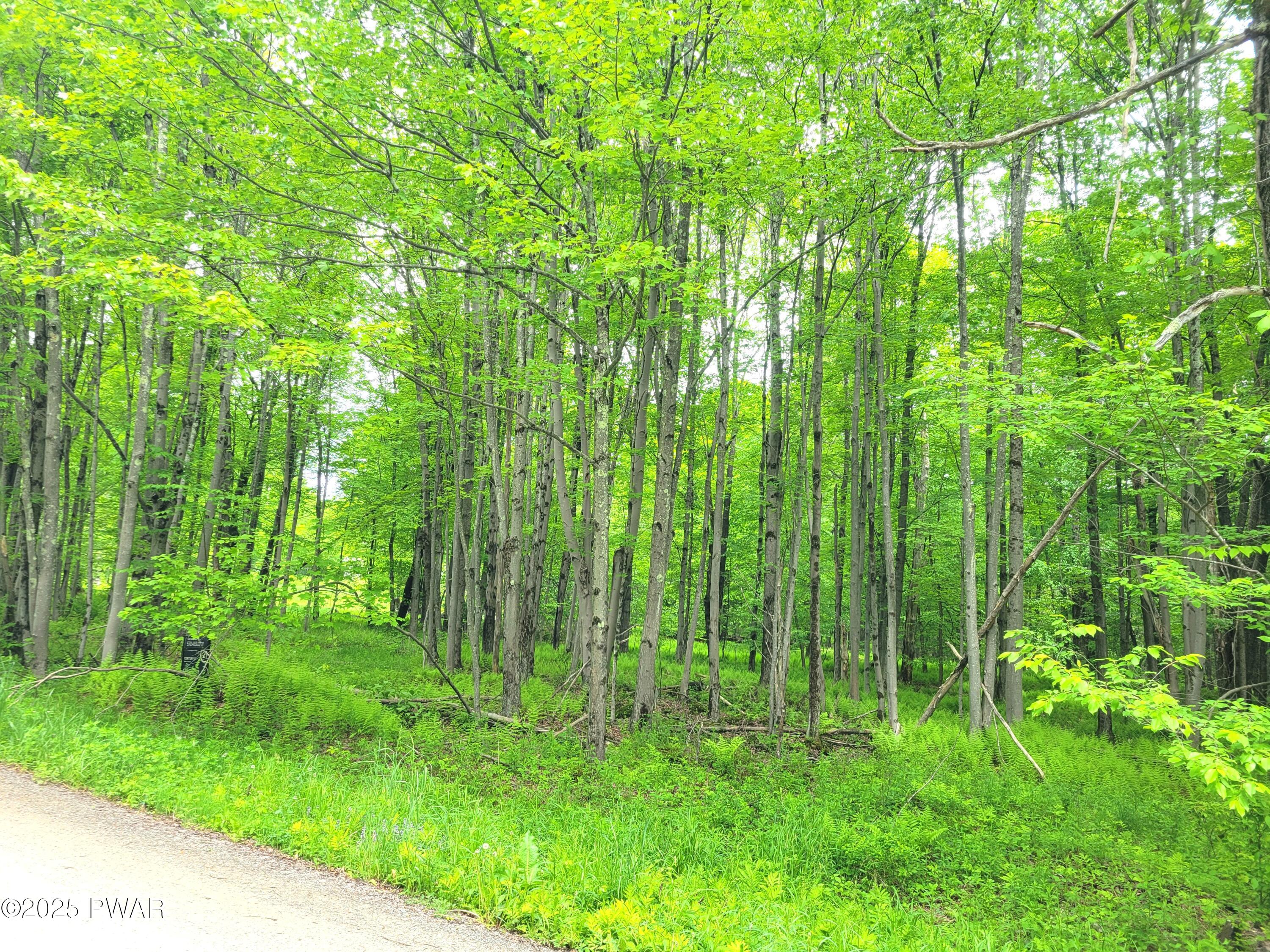 165 Highland Trail, Pleasant Mount, Pennsylvania image 3
