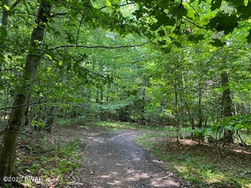 Photo of Lake Spangenberg Road, Jefferson Township, PA 18436 (MLS # PW261033)