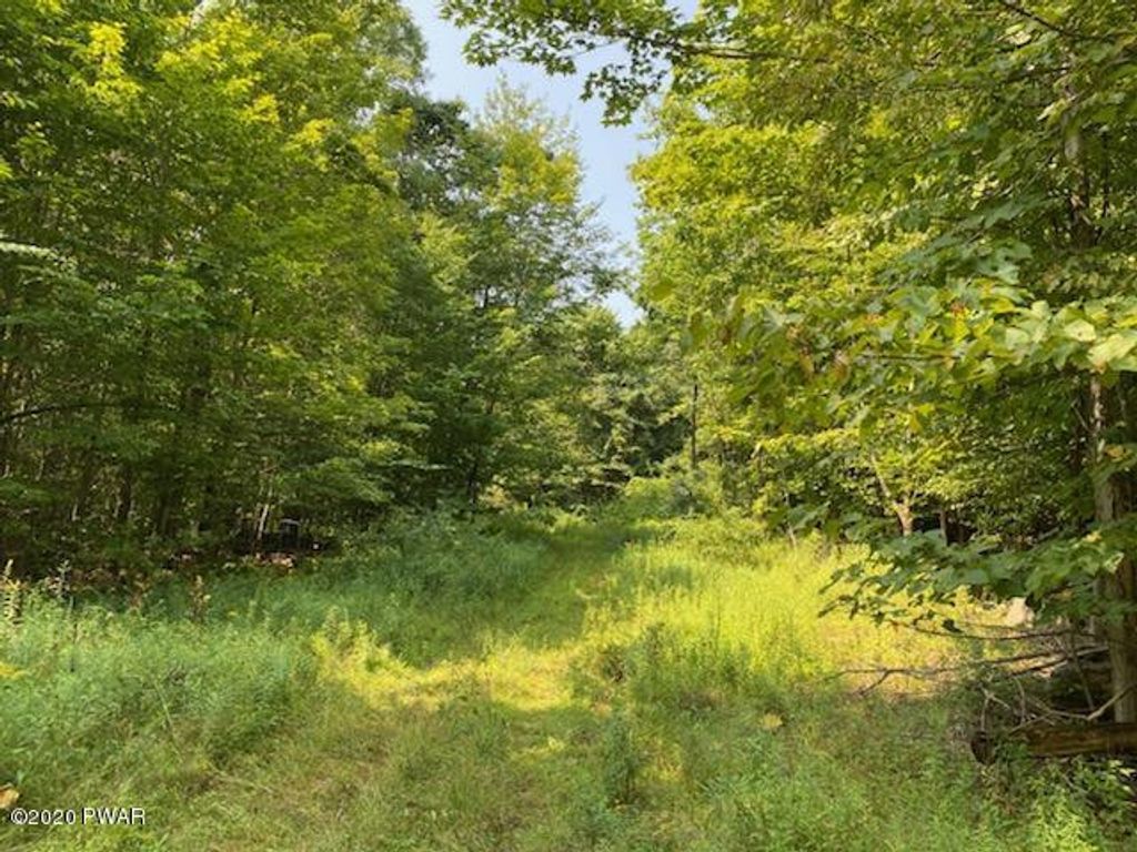 Photo of Lake Spangenberg Road, Jefferson Township, PA 18436 (MLS # PW261033)