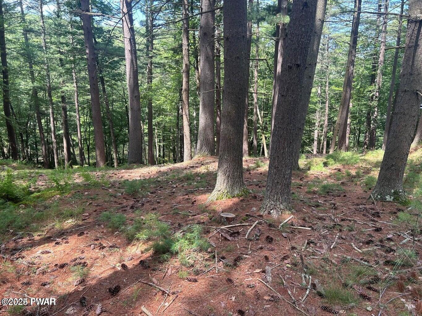 Lot 22 Circle Drive, Hawley, Pennsylvania image 9