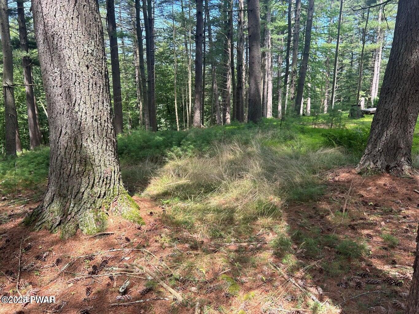 Lot 22 Circle Drive, Hawley, Pennsylvania image 14