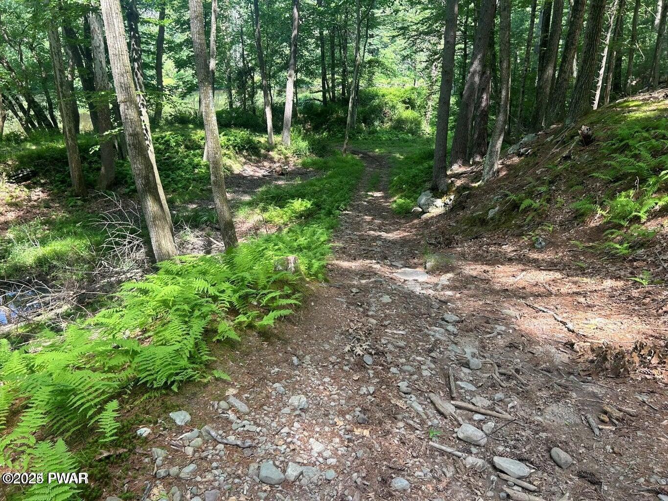 Lot 22 Circle Drive, Hawley, Pennsylvania image 13