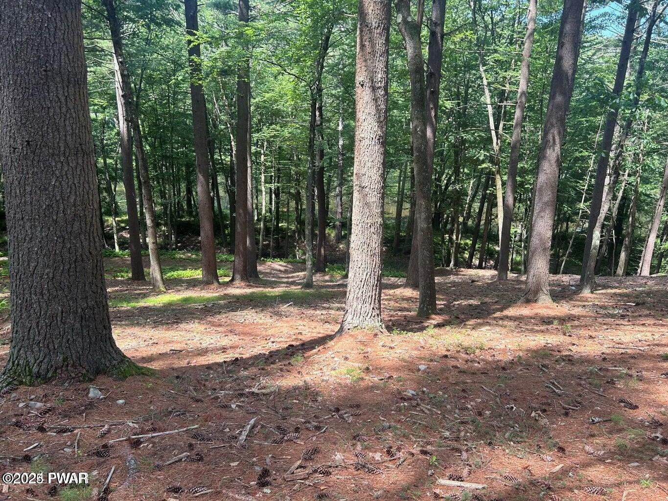 Lot 22 Circle Drive, Hawley, Pennsylvania image 2