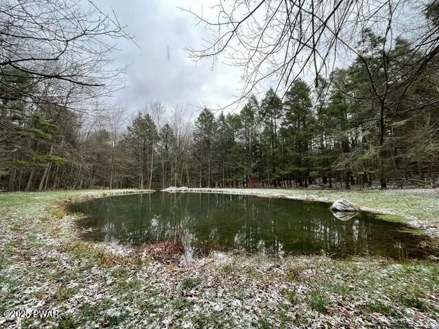 595 Spring Hill Road, Sterling, Pennsylvania image 37