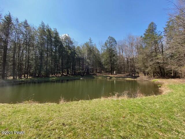 595 Spring Hill Road, Sterling, Pennsylvania image 39