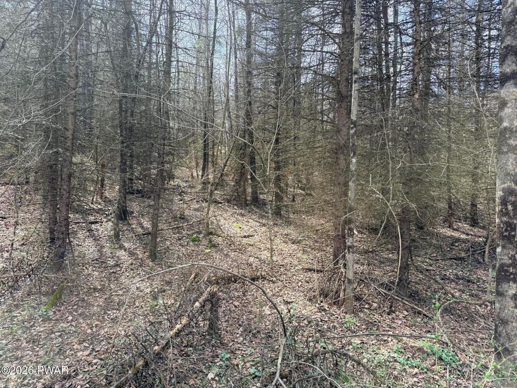 Photo of Osweld Johnson Road, Clifford Twp, PA 18441 (MLS # PW260801)
