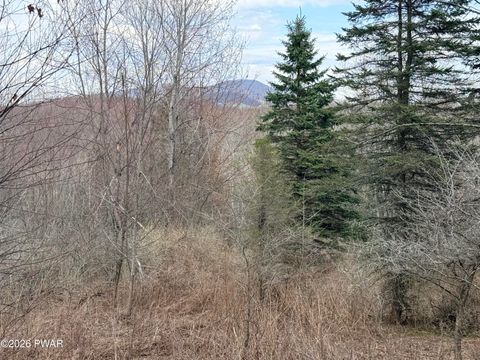 Vacant Land For Sale - Osweld Johnson Road<br/> Susquehanna County, Clifford Twp, PA 18441