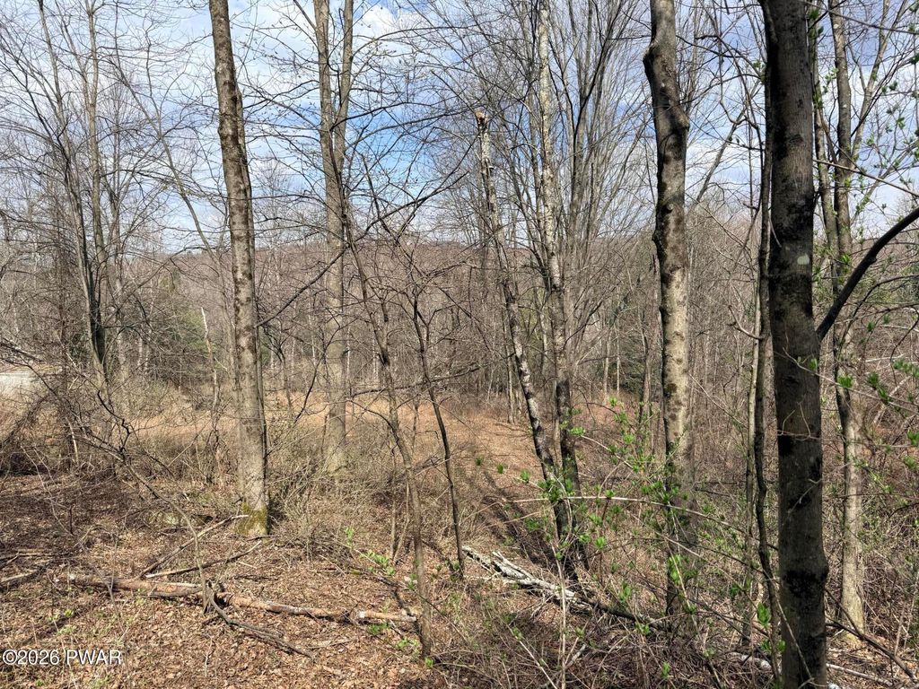 Photo of Osweld Johnson Road, Clifford Twp, PA 18441 (MLS # PW260801)