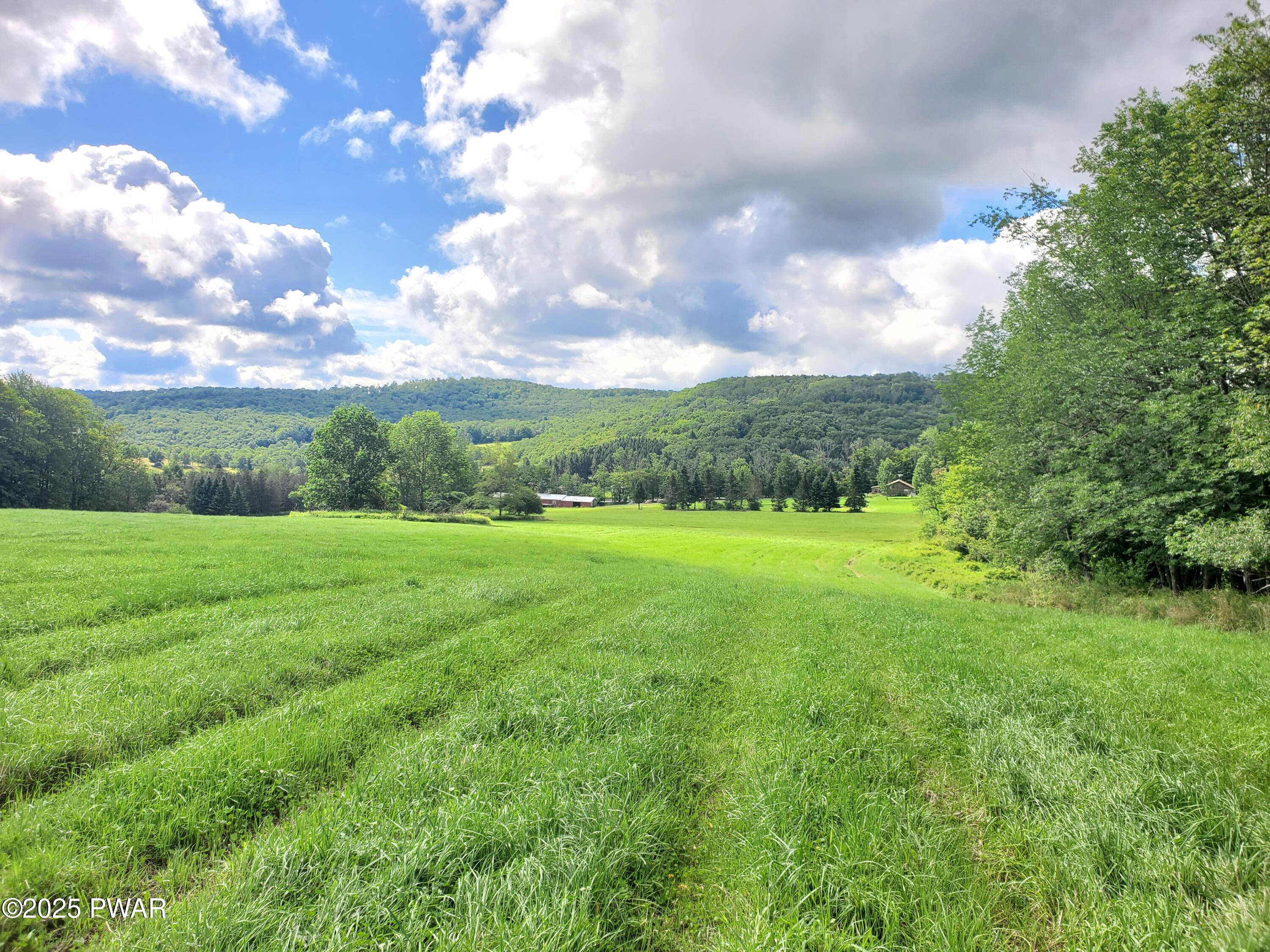 89 Harris Road, Susquehanna, Pennsylvania image 27