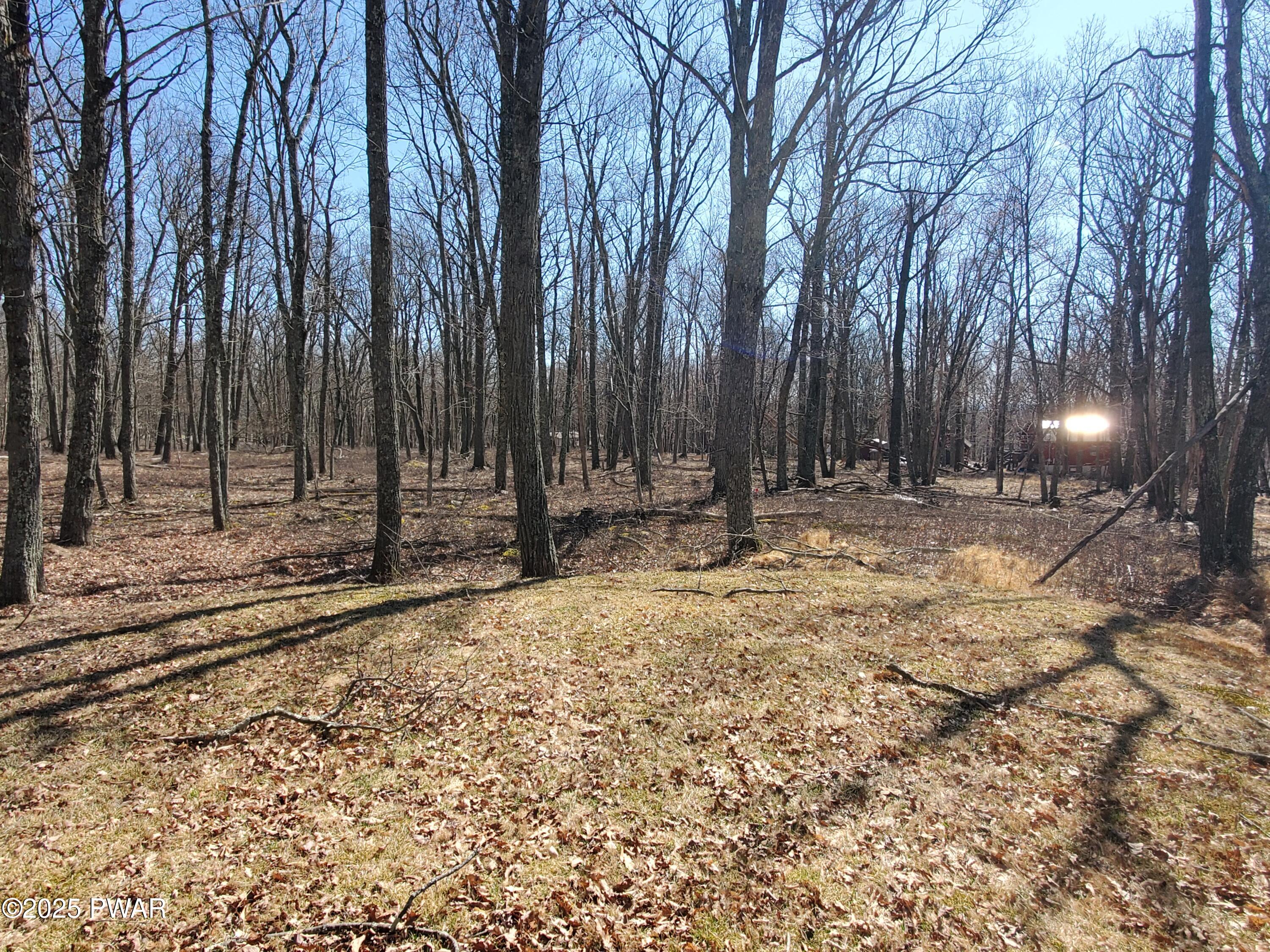 120 Fawn Lake Drive, Hawley, Pennsylvania image 7