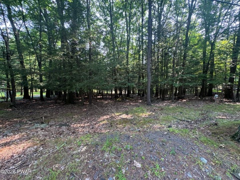 Vacant Land For Sale - Lakeshore Drive<br/> Wayne County, Lakeville, PA 18438
