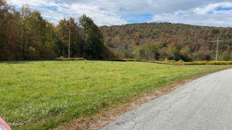 Vacant Land For Sale - Shadigee Creek Road Road<br/> Wayne County, Starrucca, PA 18462