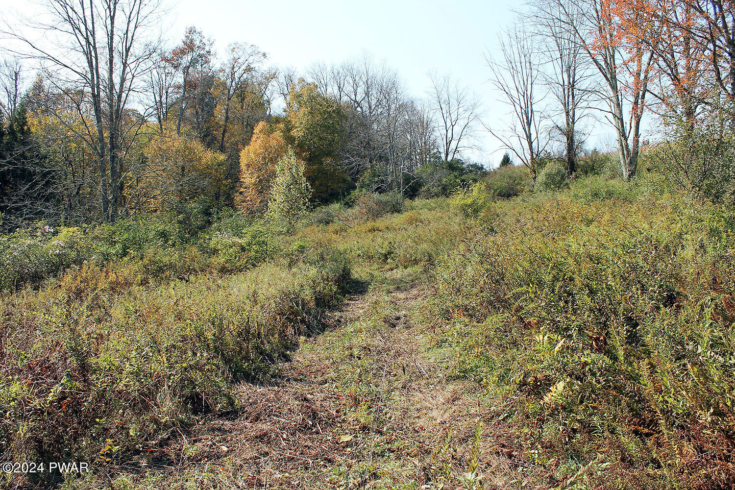 Baldwin Hill Road, Damascus, Pennsylvania image 3