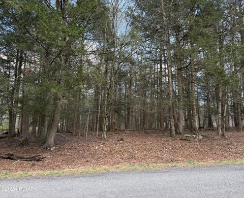 Vacant Land For Sale - 148 Gemini Circle<br/> Lake Ariel, PA 18436