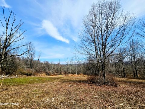 Vacant Land For Sale - 170 Zion Road<br/> Newfoundland, PA 18445