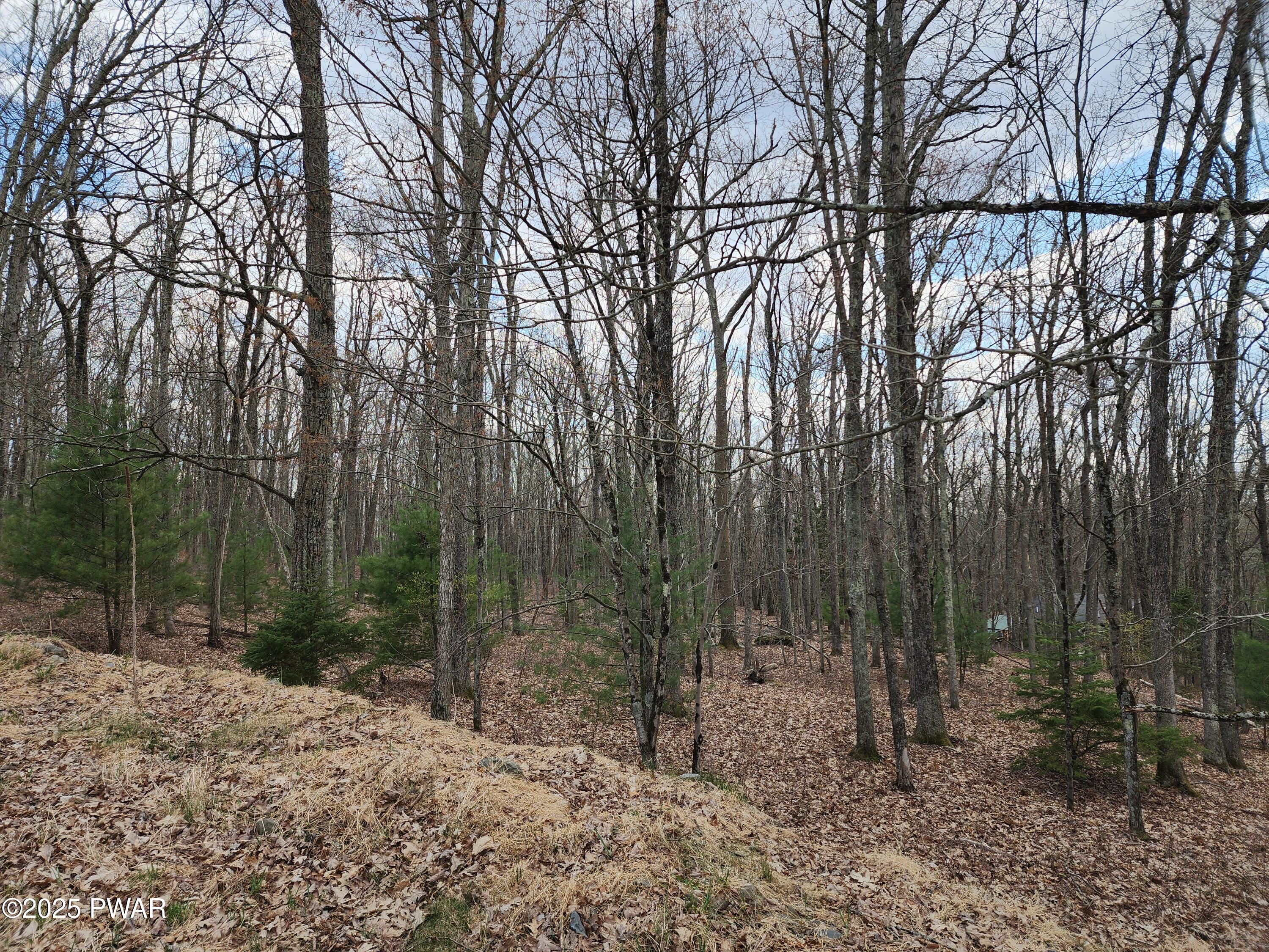 Lot 9 Lynric Court, Shohola, Pennsylvania image 7