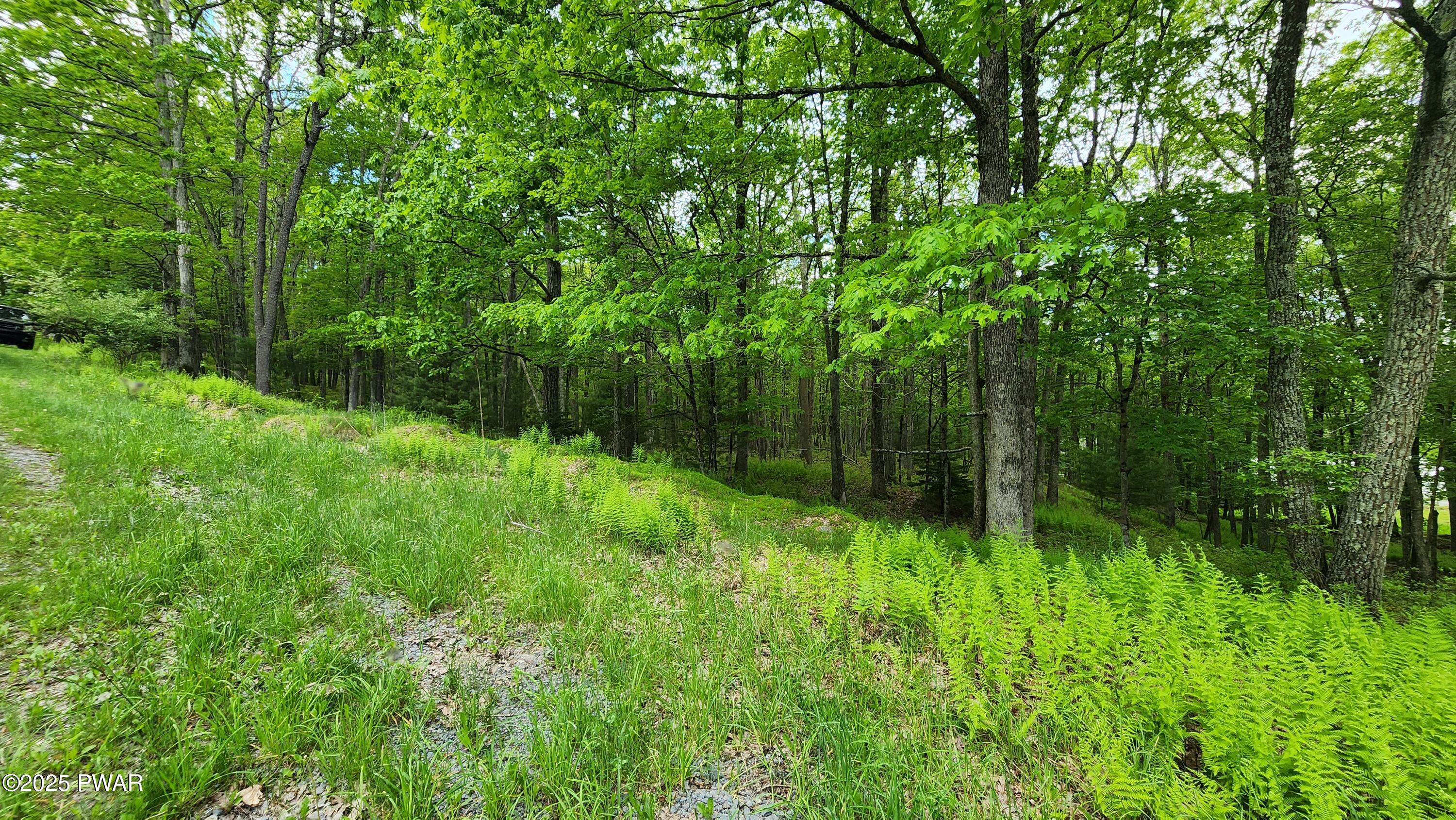 Lot 9 Lynric Court, Shohola, Pennsylvania image 4