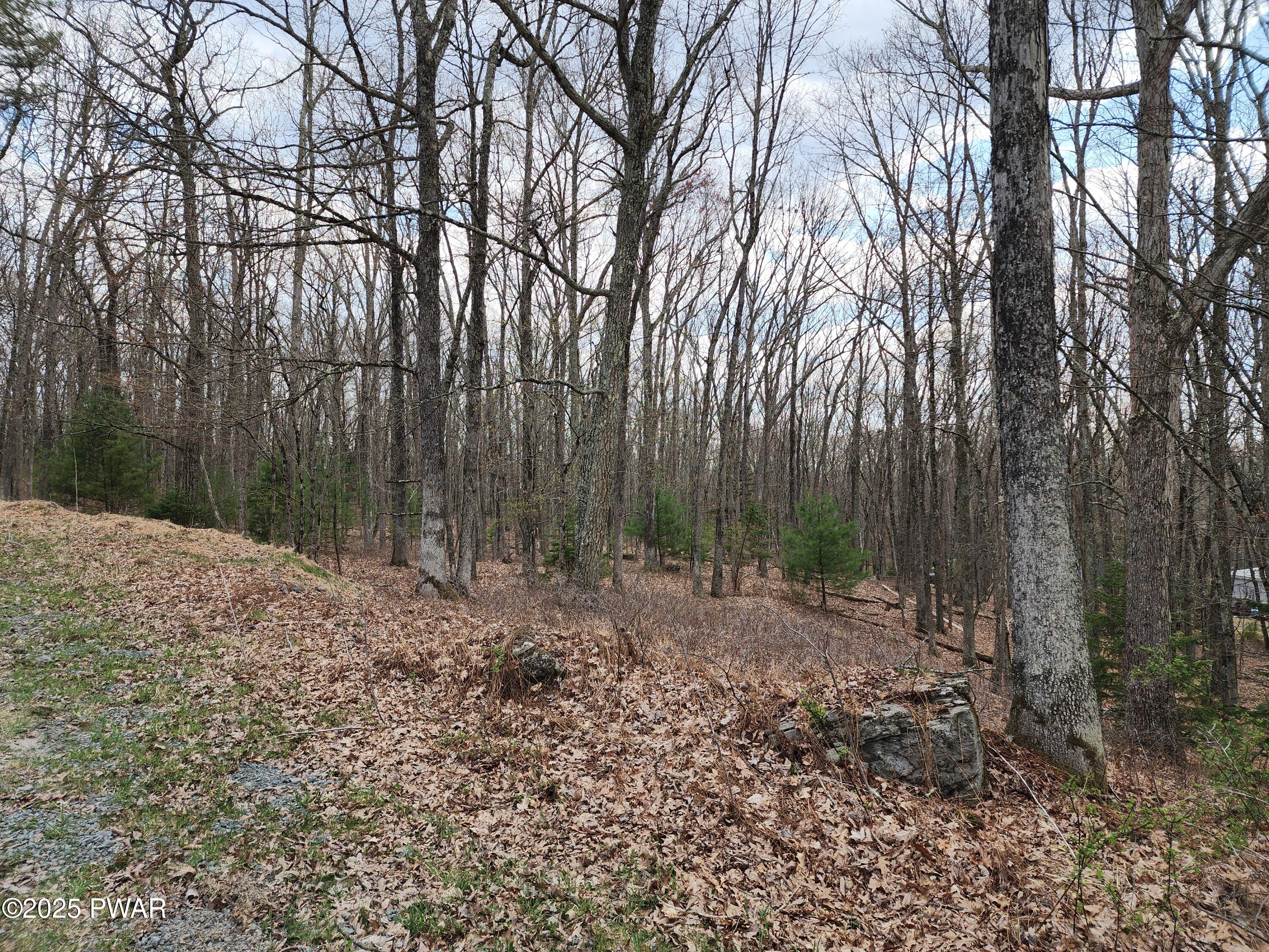Lot 9 Lynric Court, Shohola, Pennsylvania image 8