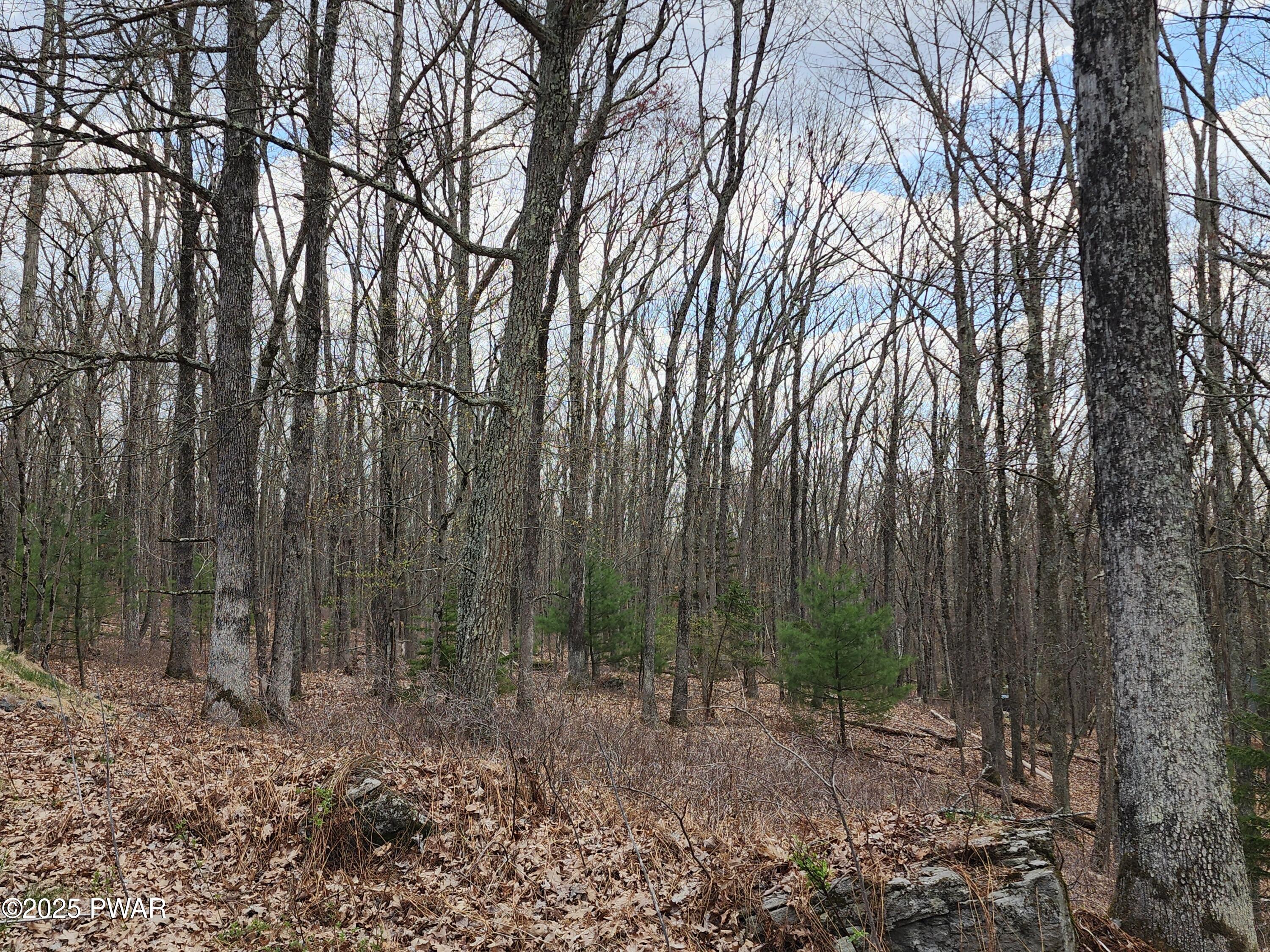 Lot 9 Lynric Court, Shohola, Pennsylvania image 6