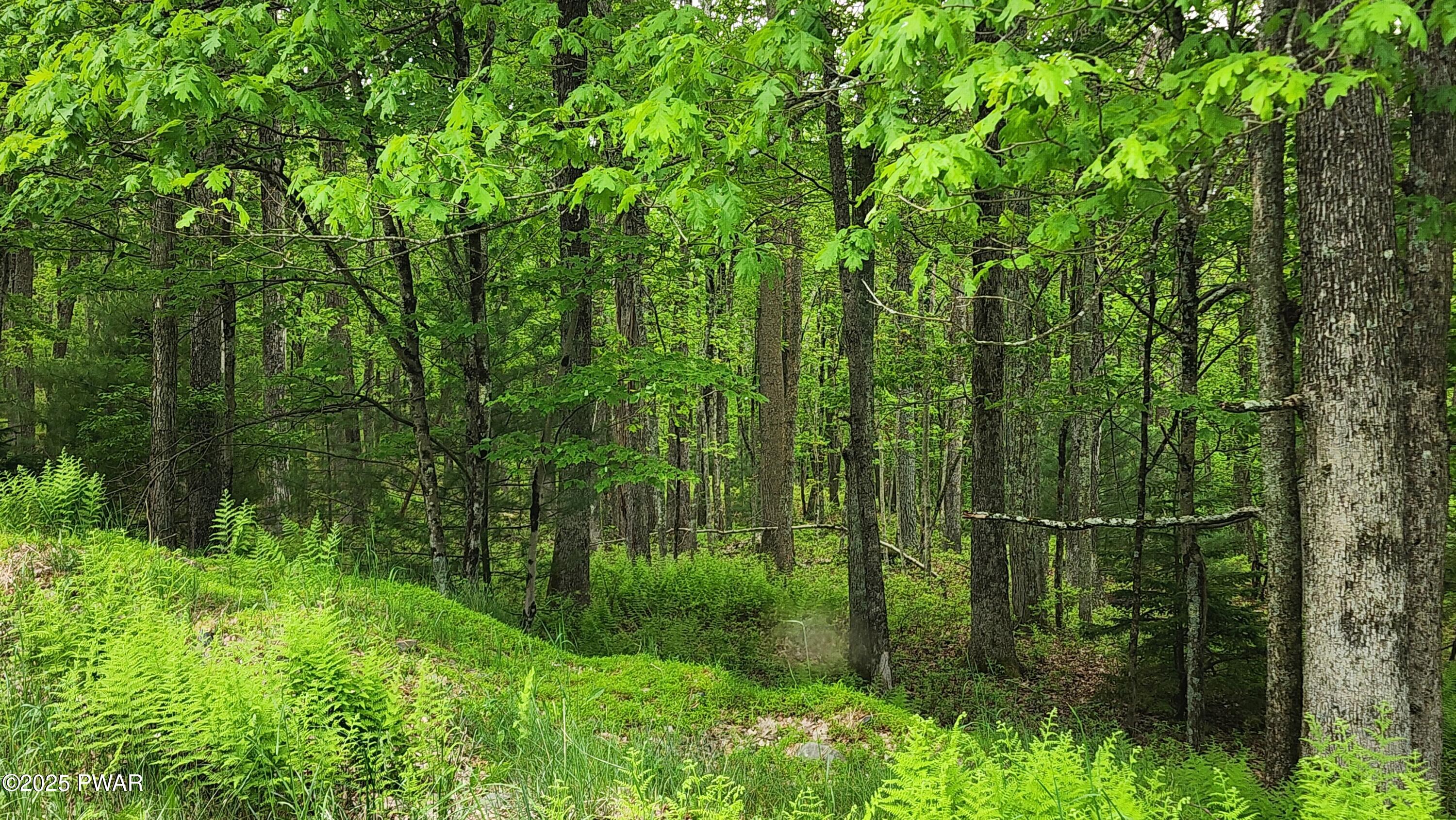 Lot 9 Lynric Court, Shohola, Pennsylvania image 2