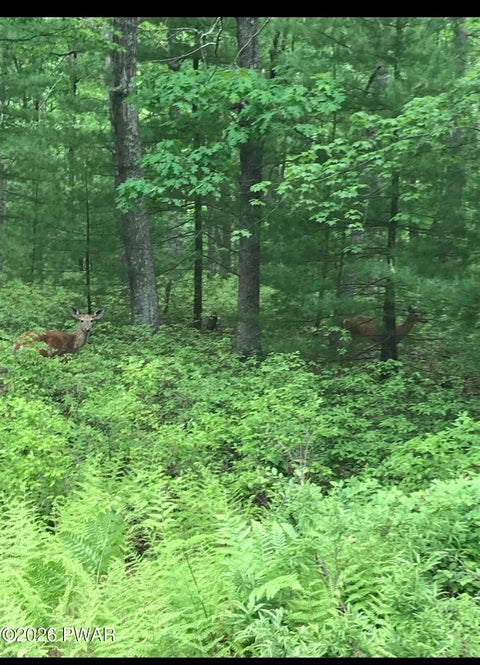 Vacant Land For Sale - Lot 89 Kinsale Lane<br/> Dingmans Ferry, PA 18328