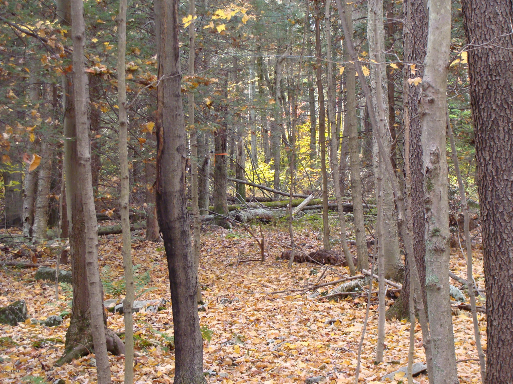 Beaver Dam Road, Greentown, Pennsylvania image 4