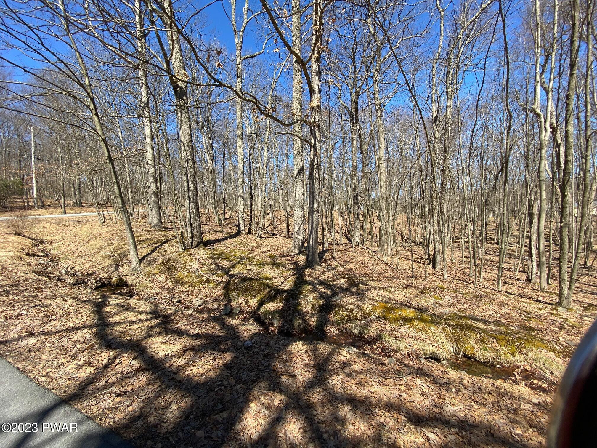 Pitch Pine Lane/drive, Milford, Pennsylvania image 4