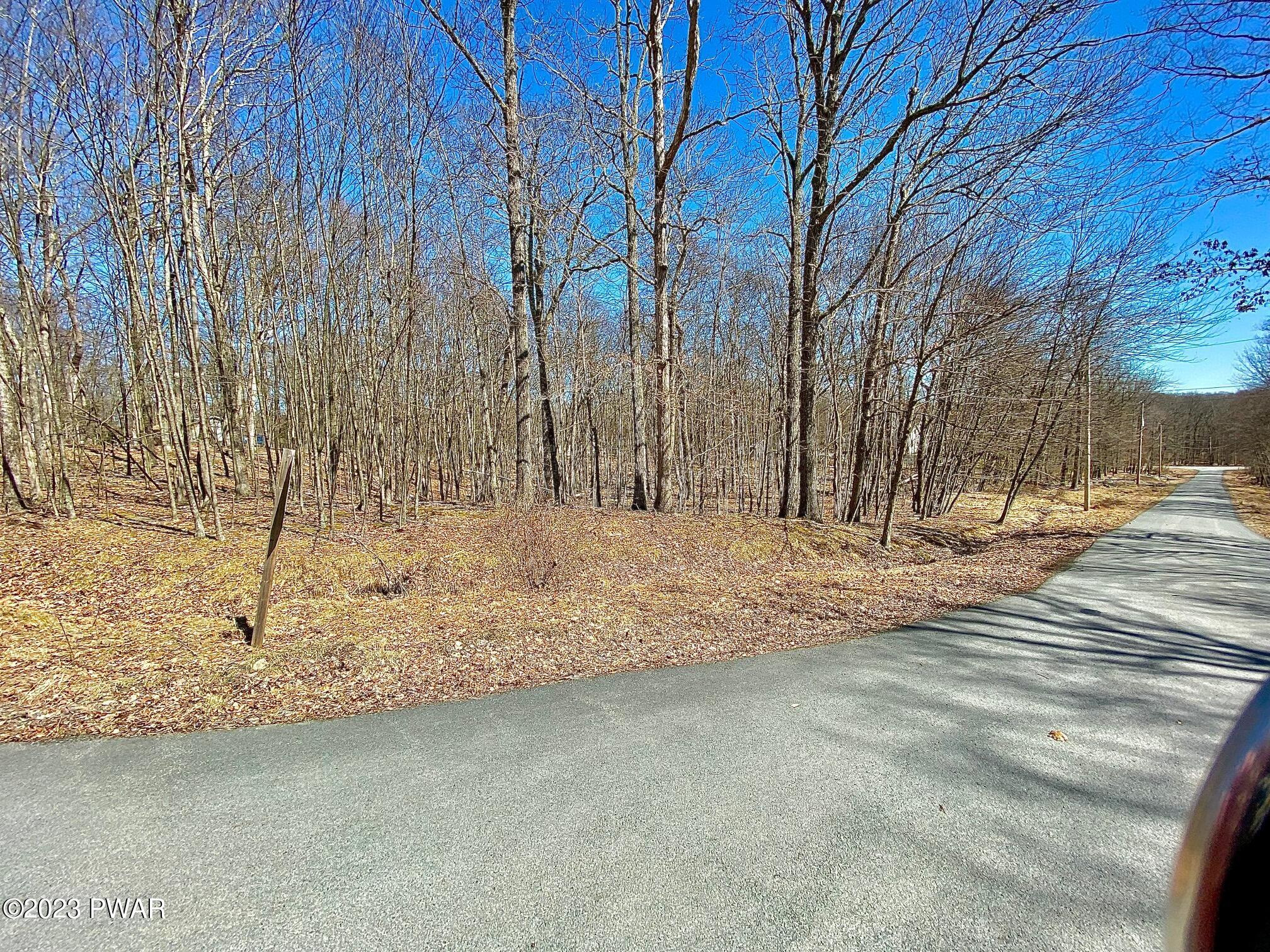 Pitch Pine Lane/drive, Milford, Pennsylvania image 2