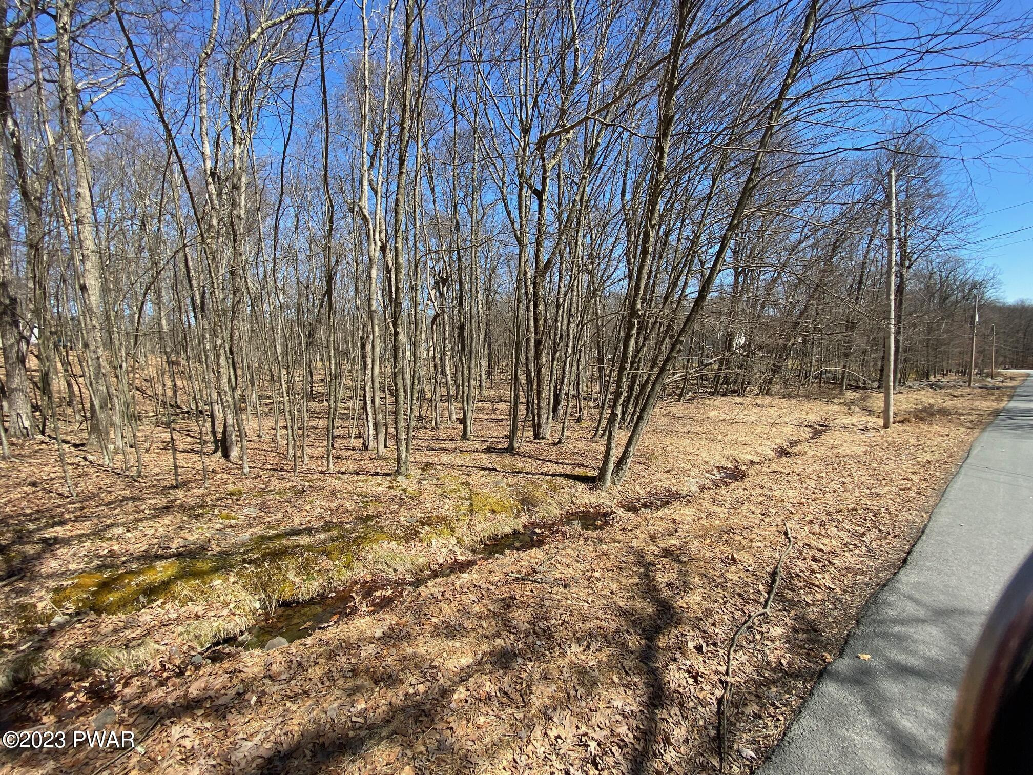 Pitch Pine Lane/drive, Milford, Pennsylvania image 3