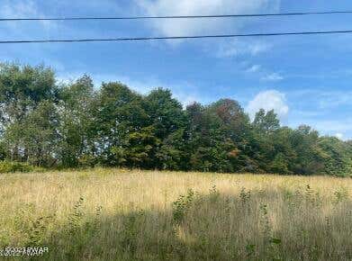 Vacant Land For Sale - Crosstown Highway<br/> Wayne County, Lakewood, PA 18439