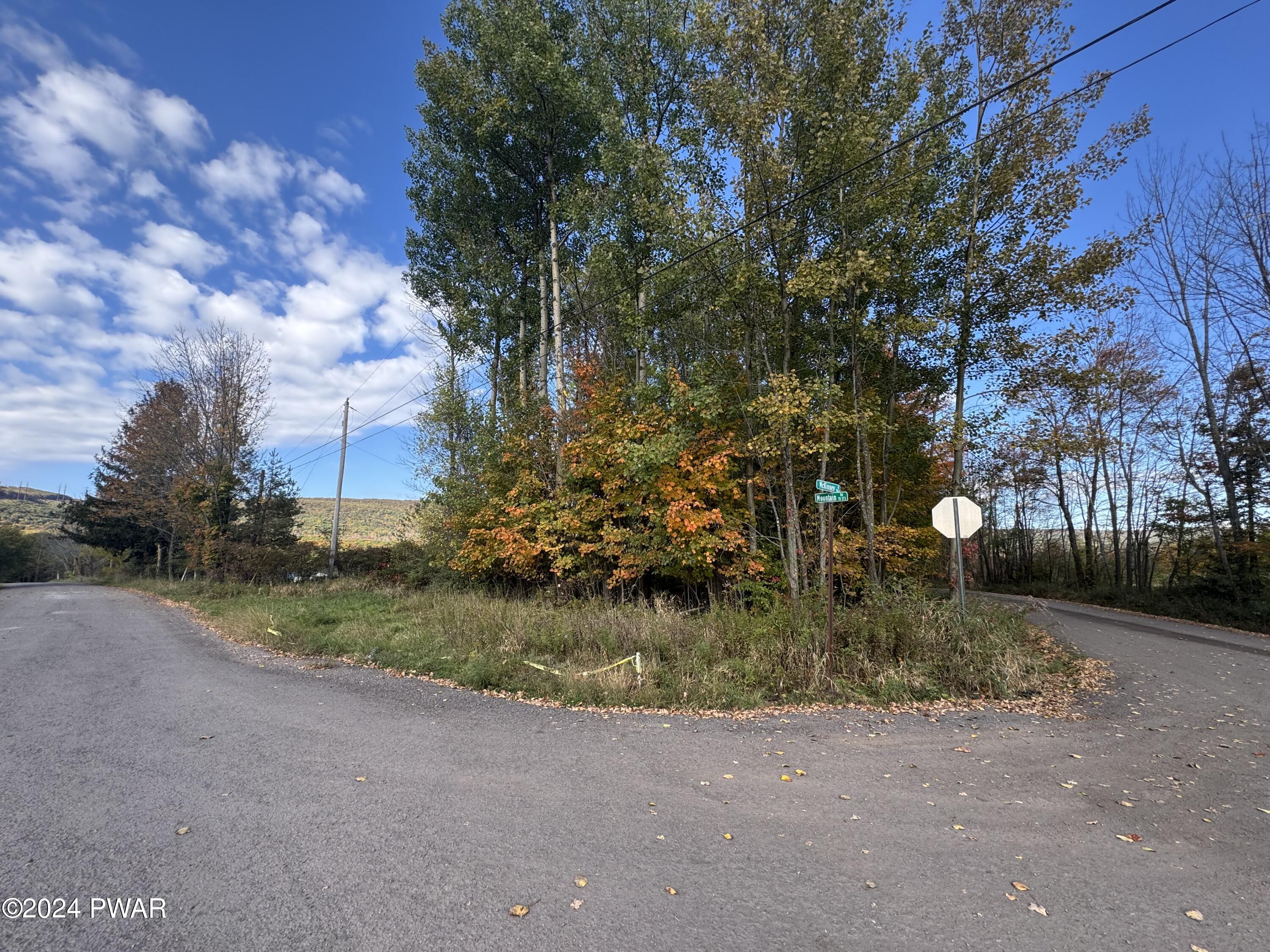 Mountain Rd & Mckinney Rd, Lake Ariel, Pennsylvania image 5