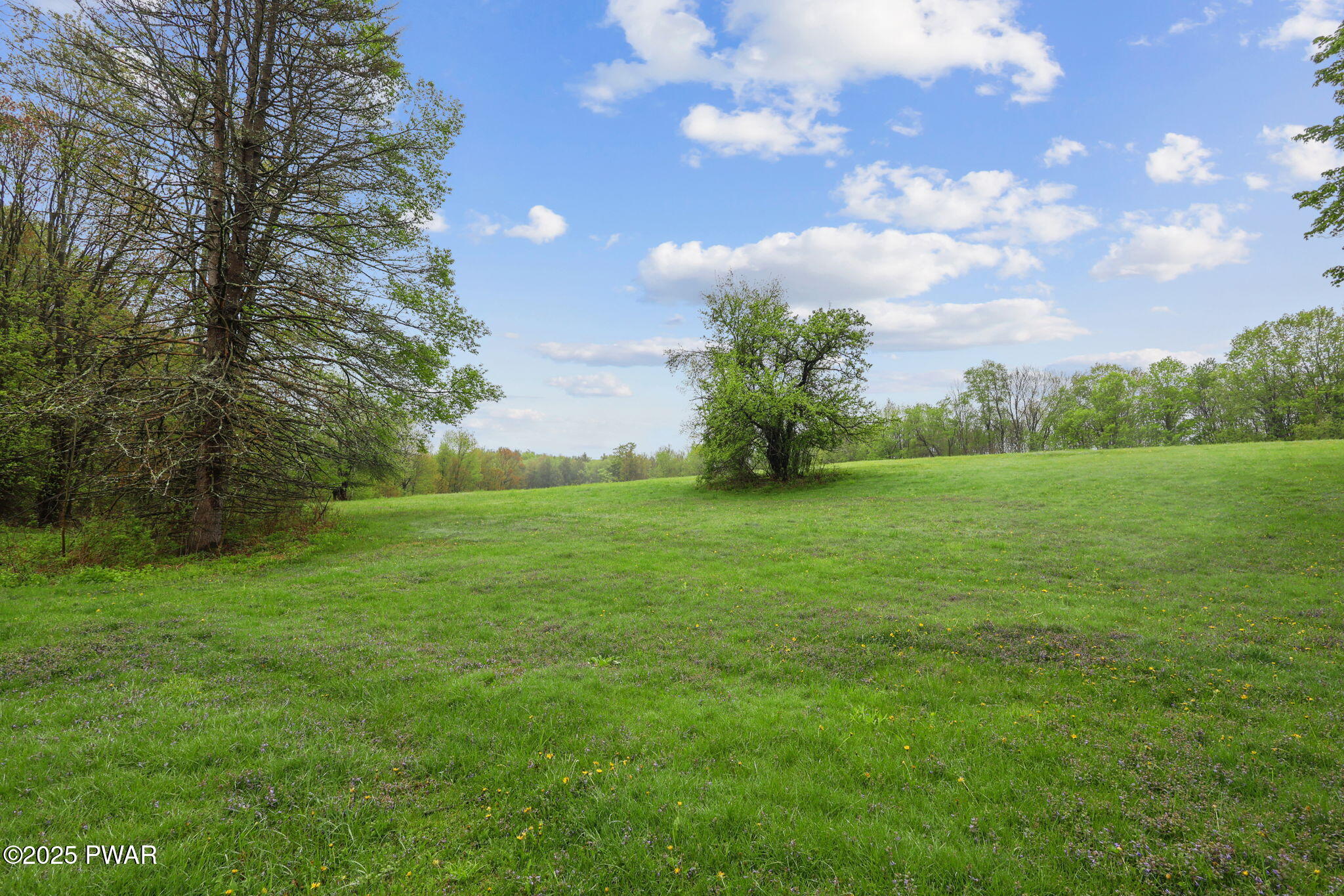 2516 Easton Turnpike, Waymart, Pennsylvania image 43
