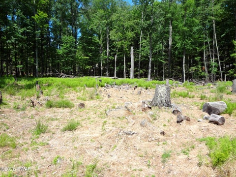 Vacant Land For Sale - 10 & 11DR South Briar Hill & W. Lakeside Drive<br/> Wayne County, Lakeville, PA 18438
