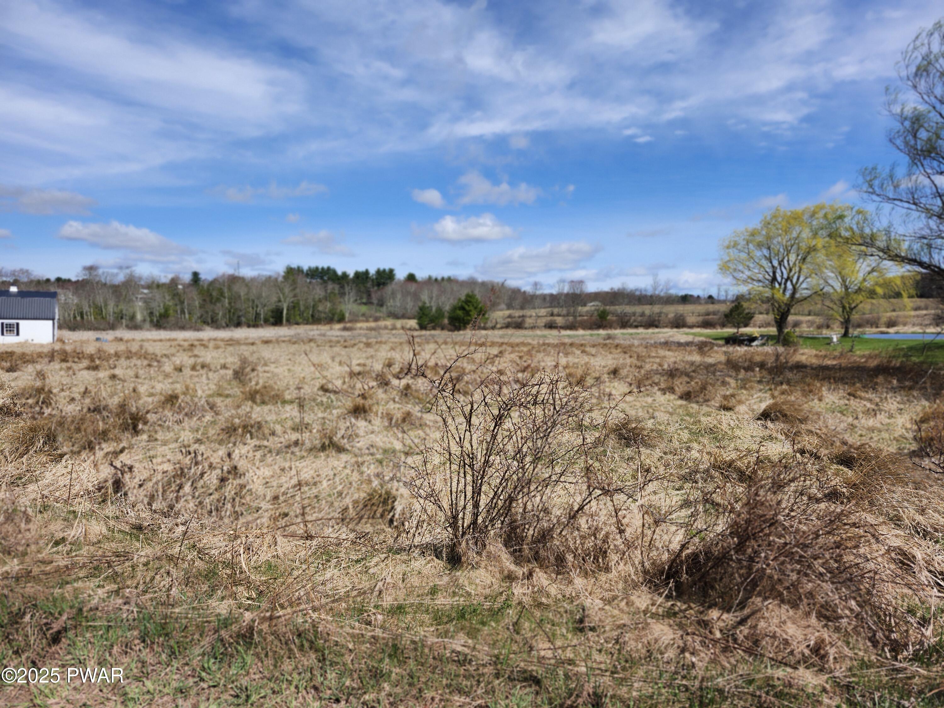 Slater Road, Beach Lake, Pennsylvania image 2