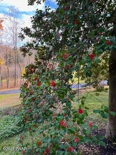 218 Weatherby Street, Dalton, Pennsylvania image 28
