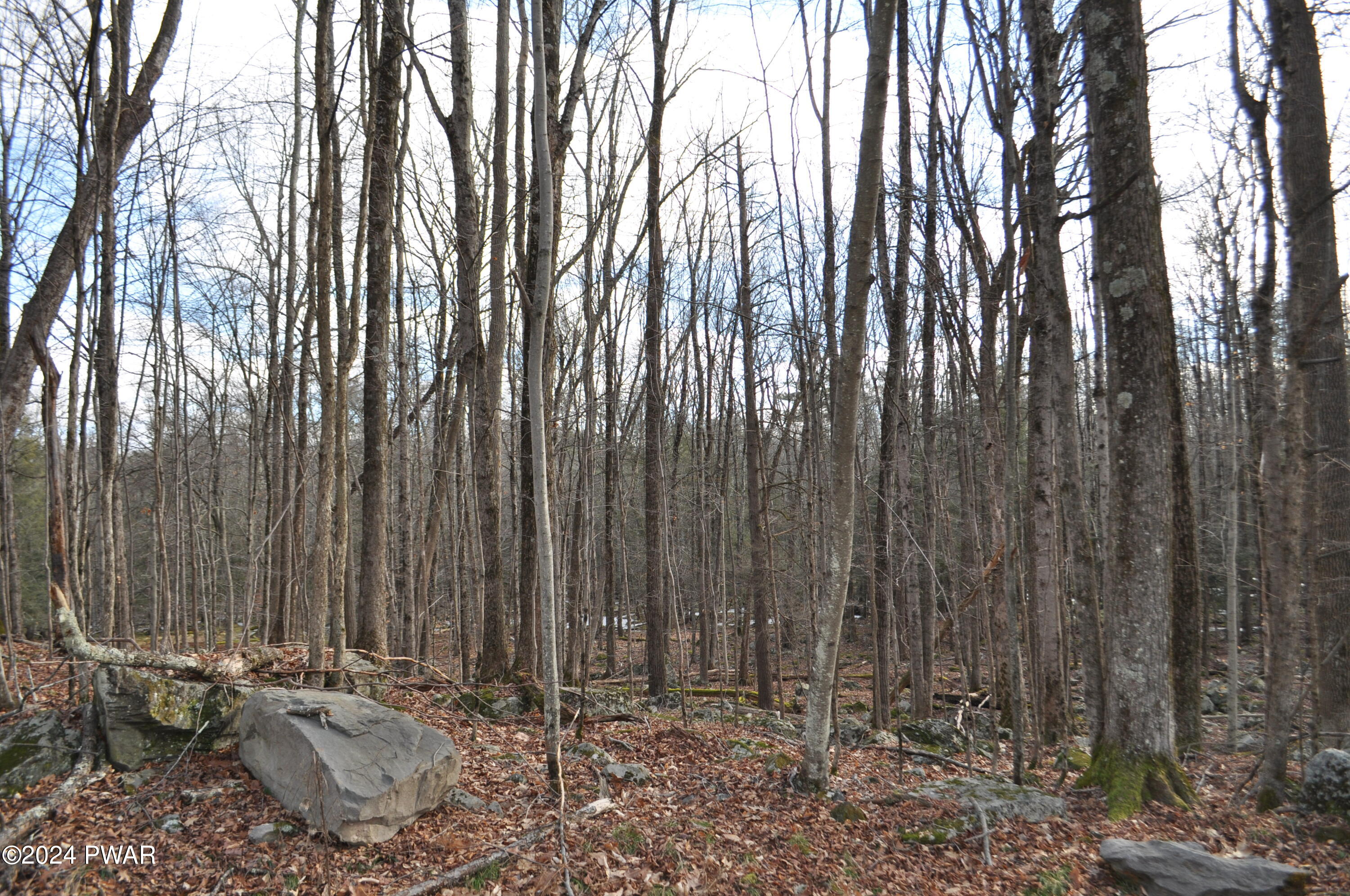 Fawn Road, Hawley, Pennsylvania image 7