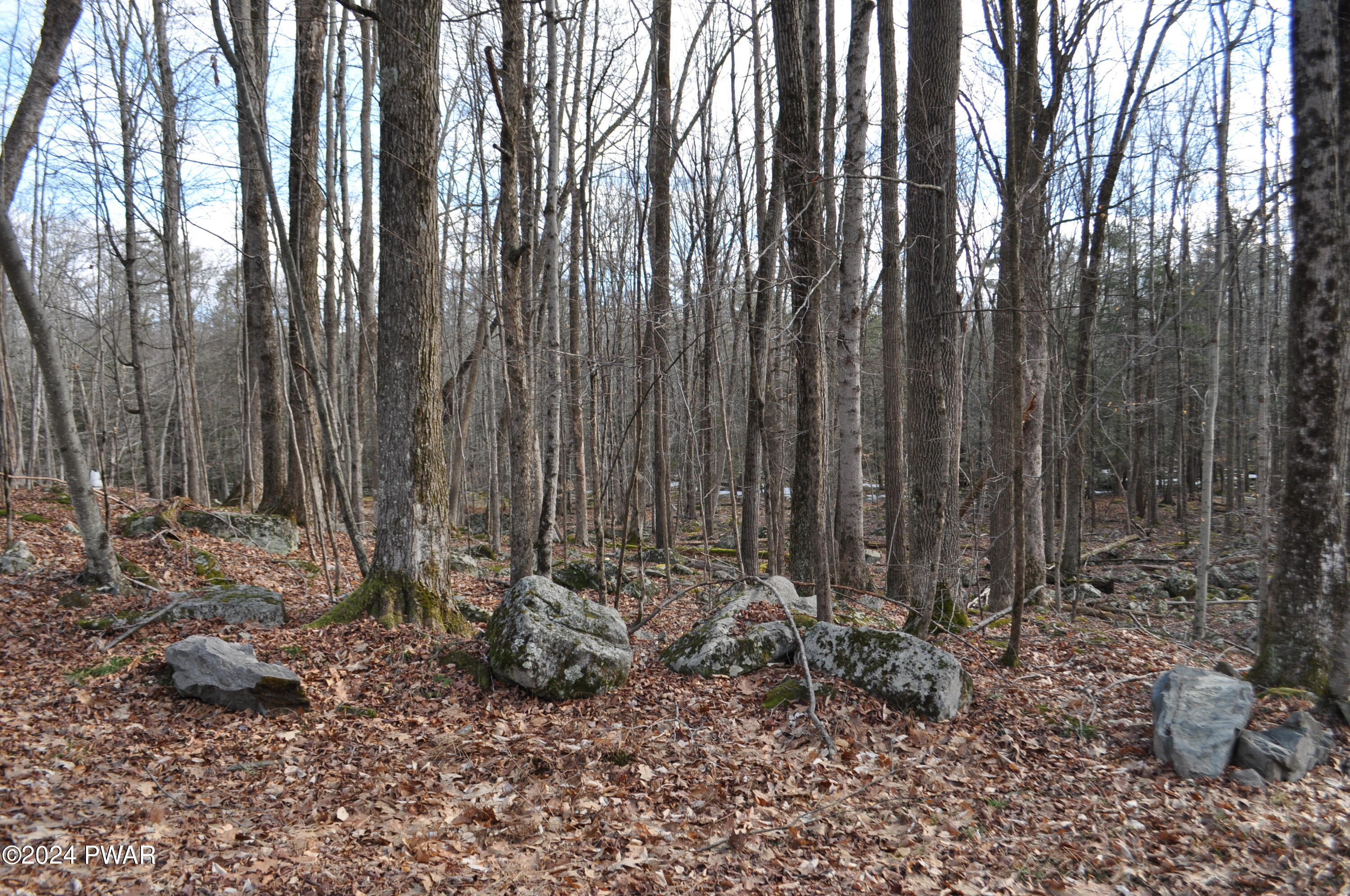 Fawn Road, Hawley, Pennsylvania image 8