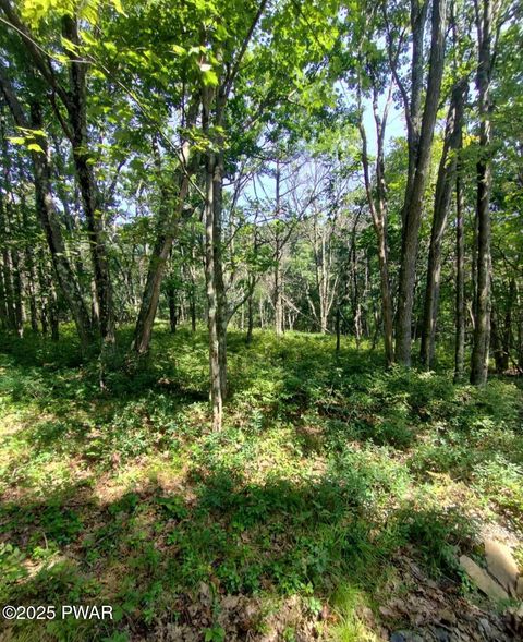 Photo of 146 Plateau Drive, Lackawaxen, PA 18435 (MLS # PW251946)