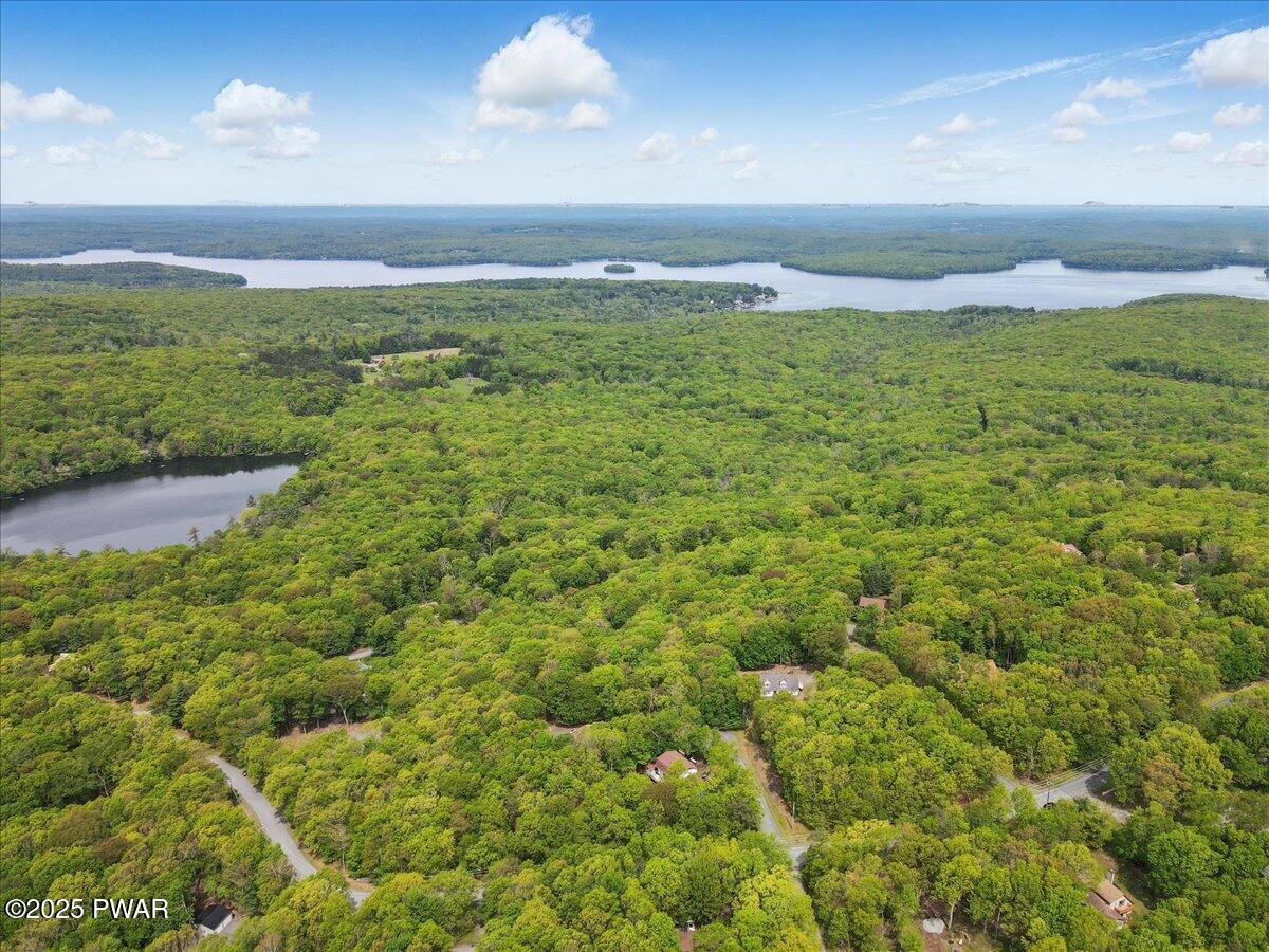 173 Paper Birch, Tafton, Pennsylvania image 49