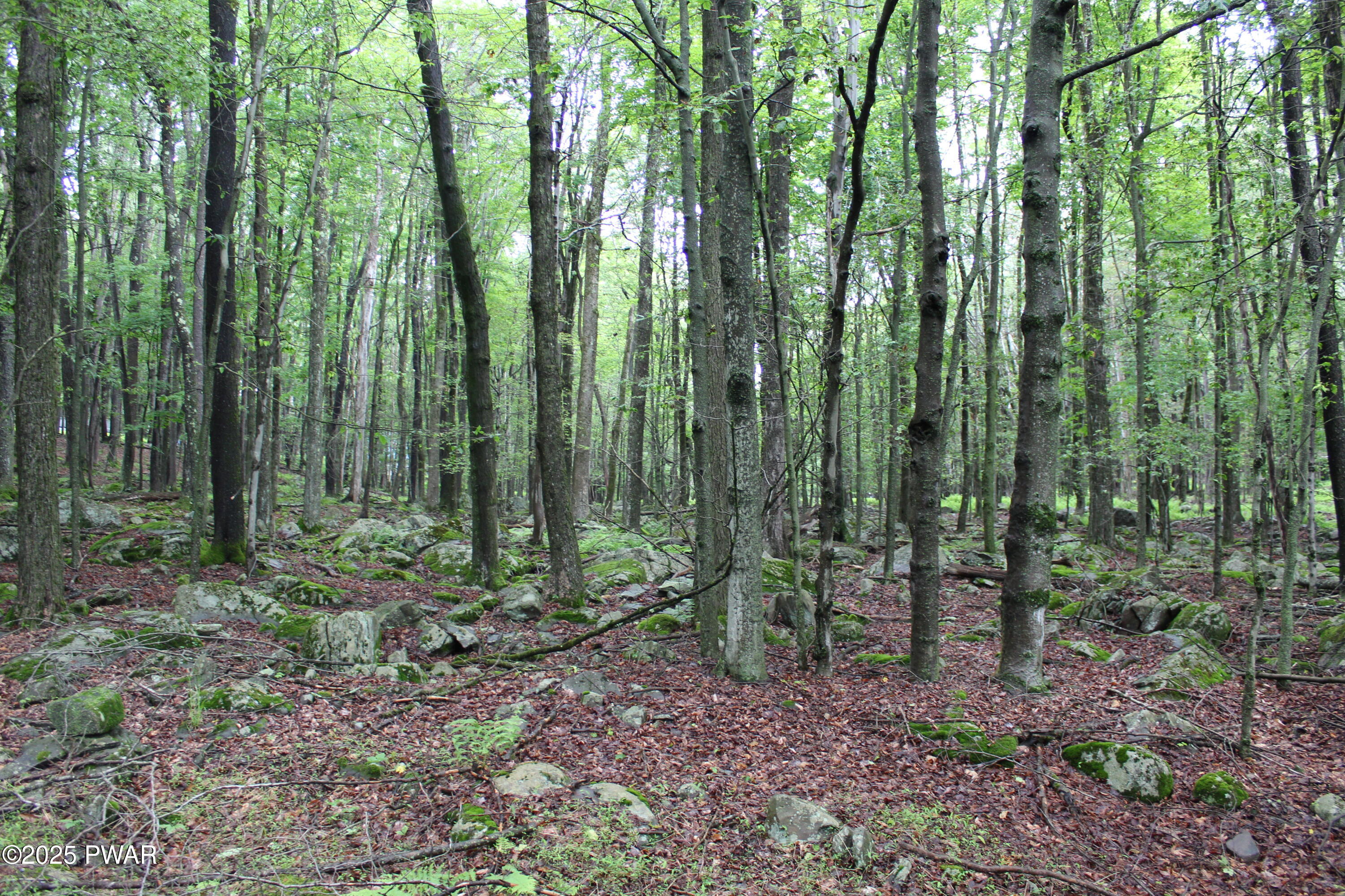 Lot 1906 Horizon Drive, Greentown, Pennsylvania image 6