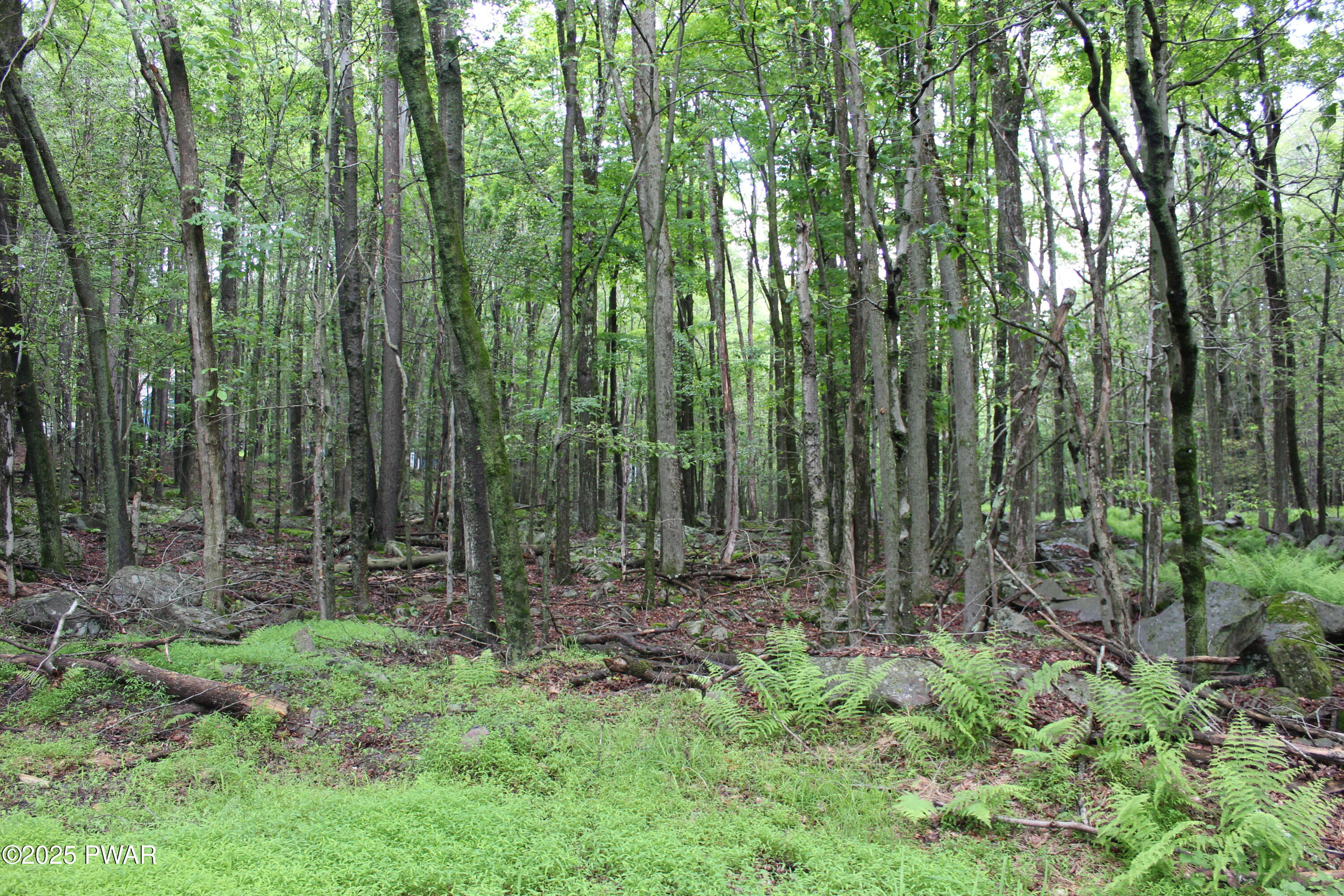 Lot 1906 Horizon Drive, Greentown, Pennsylvania image 5