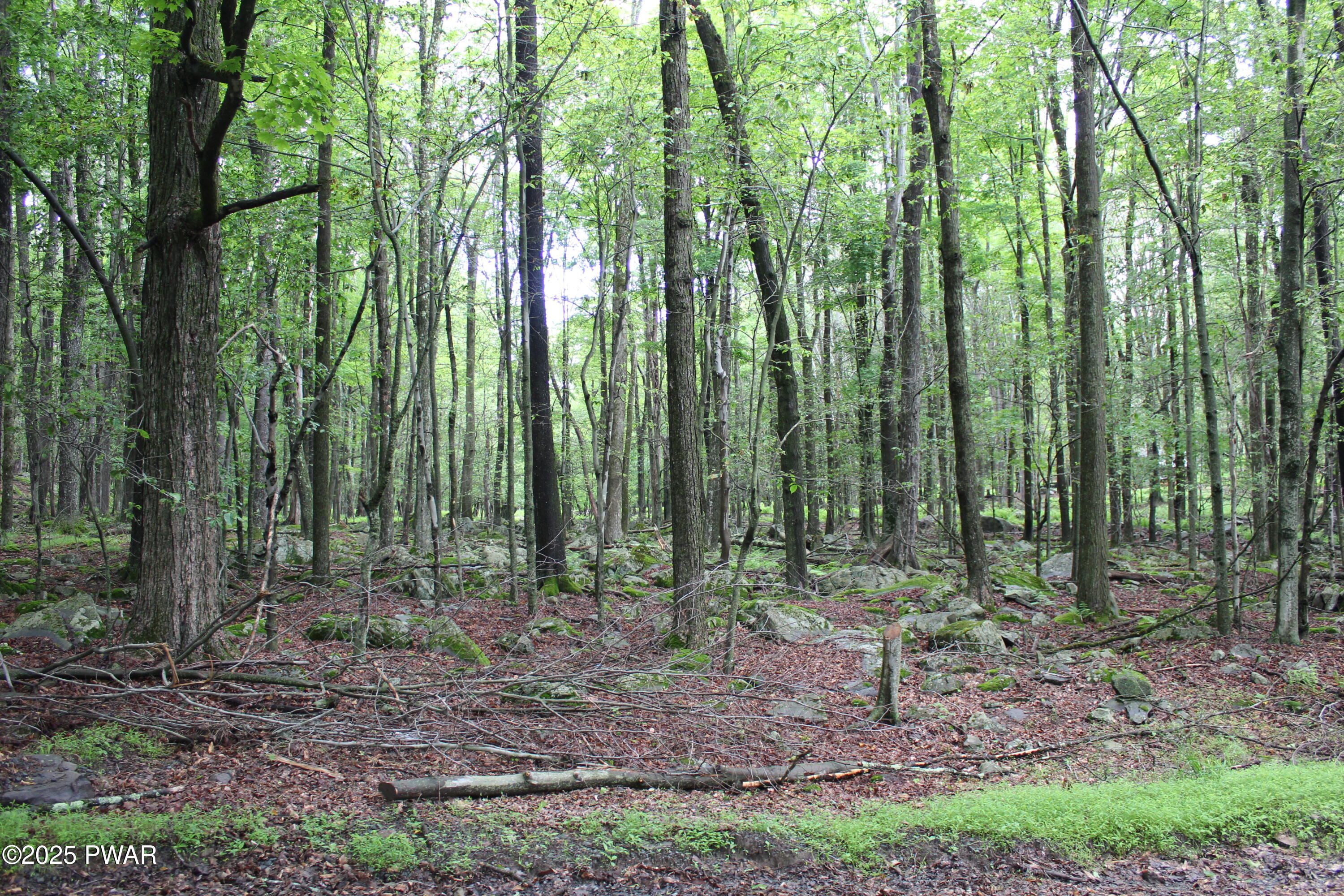Lot 1906 Horizon Drive, Greentown, Pennsylvania image 2