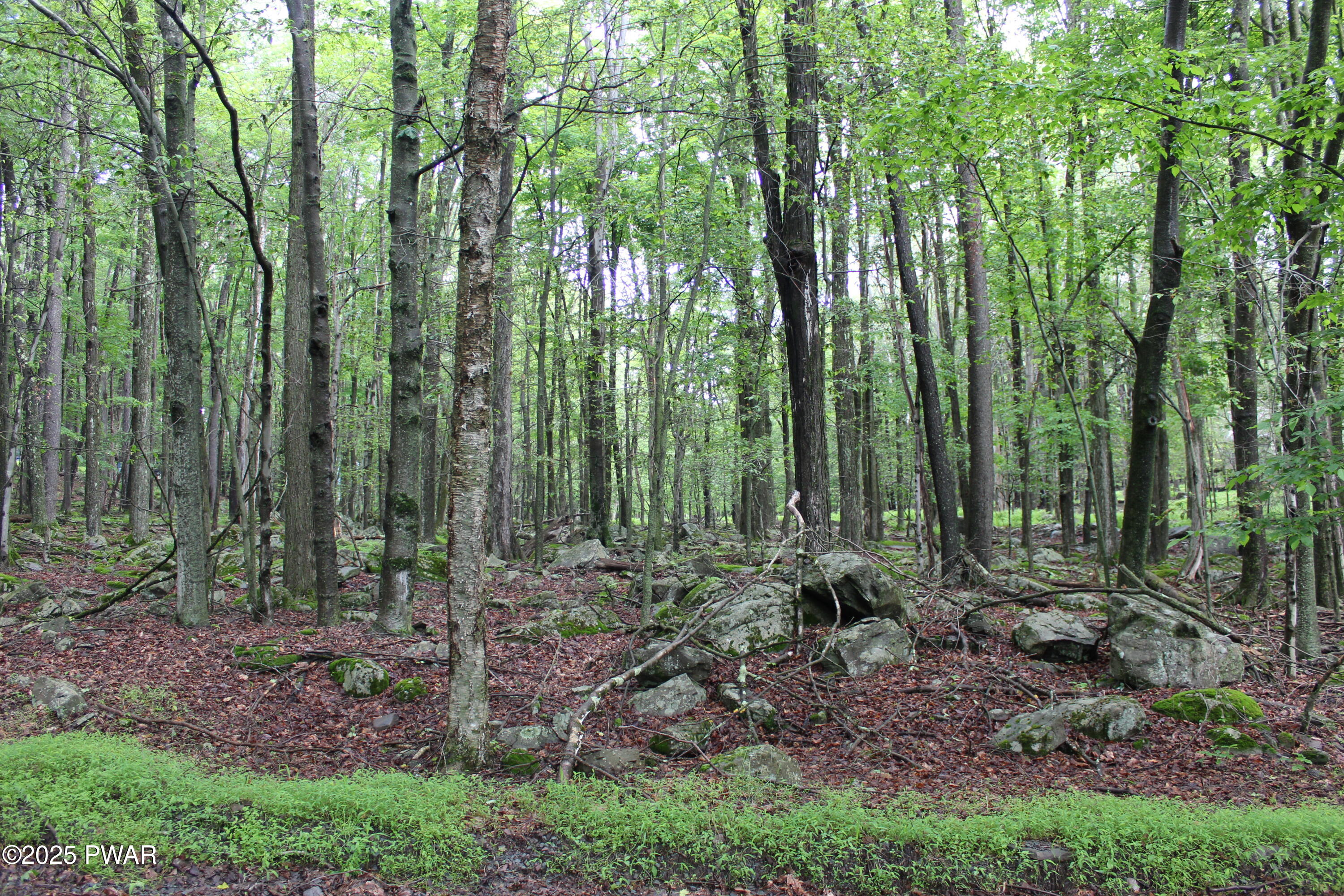 Lot 1906 Horizon Drive, Greentown, Pennsylvania image 3