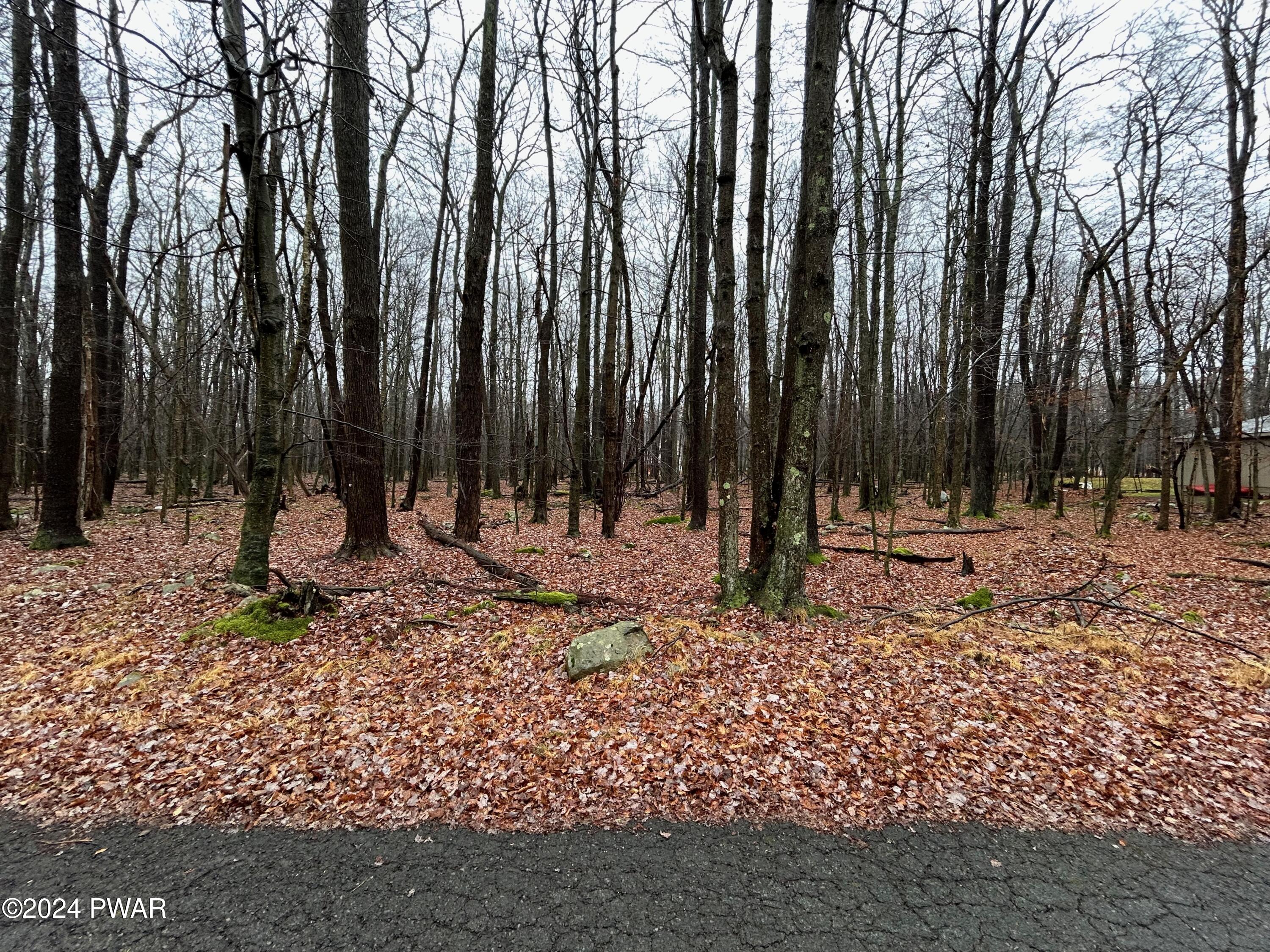 Lot 42 Beaver Run Road, Newfoundland, Pennsylvania image 7