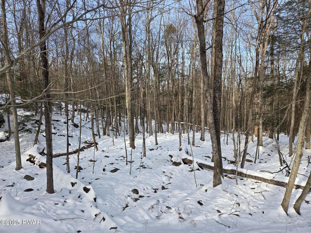 Photo of 118 Pioneer Drive, Lackawaxen, PA 18435 (MLS # PW253954)